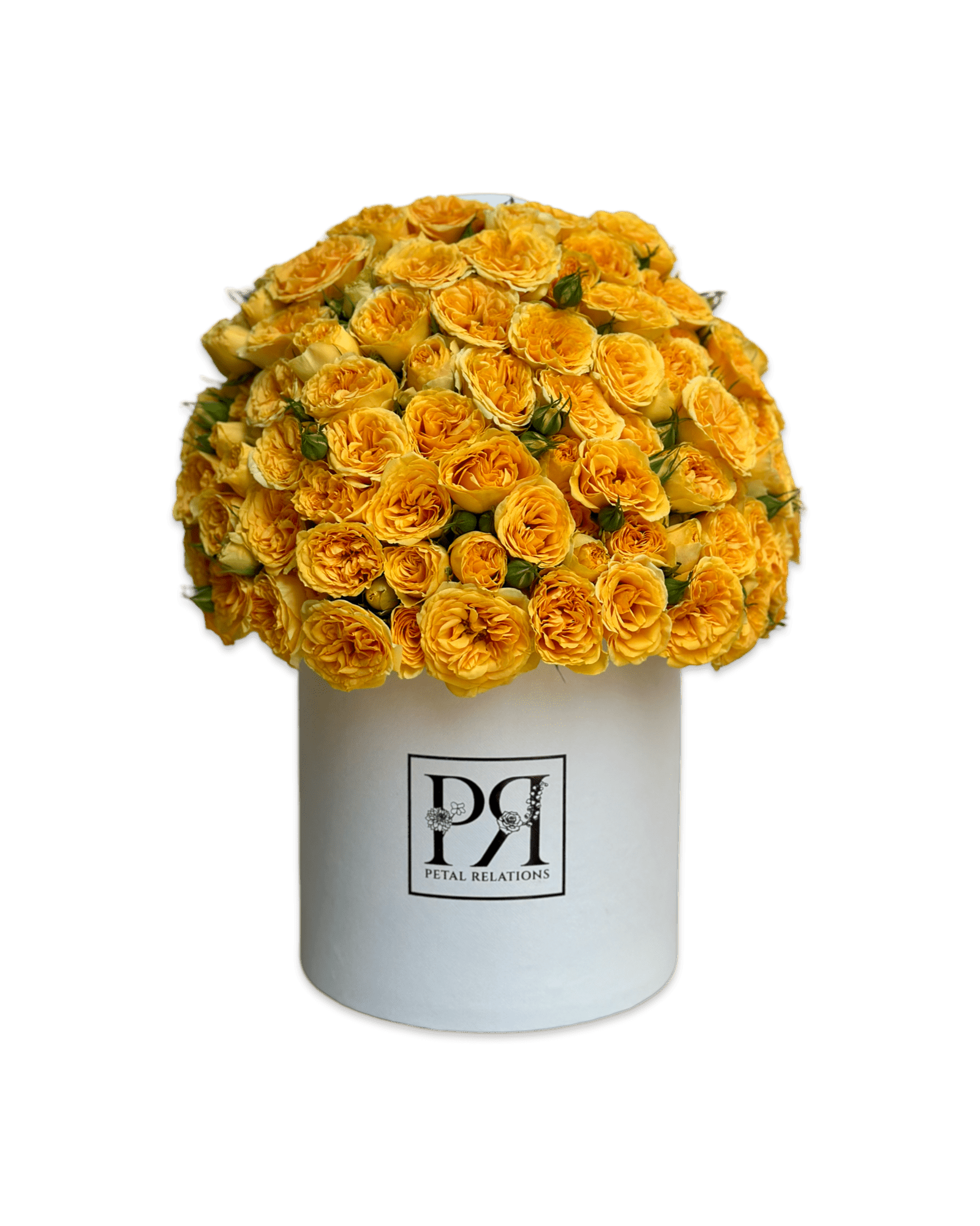 Baby Roses in a Box - Petal Relations