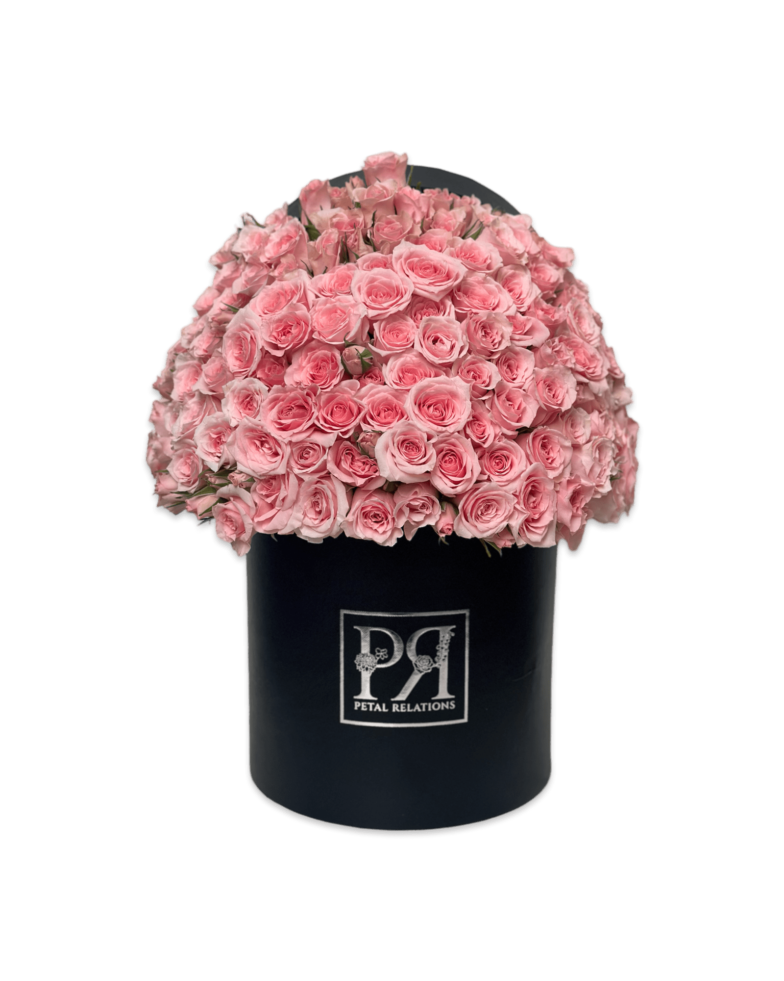 Baby Roses in a Box - Petal Relations