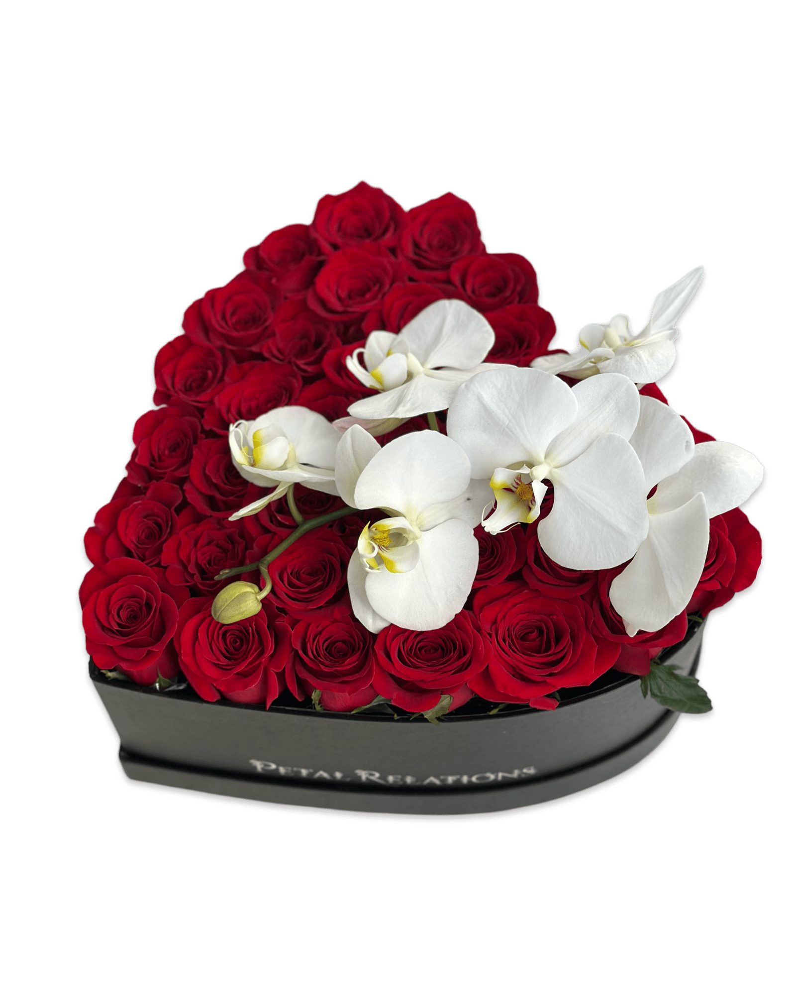 Be Mine with Phalaenopsis Orchid - Petal Relations