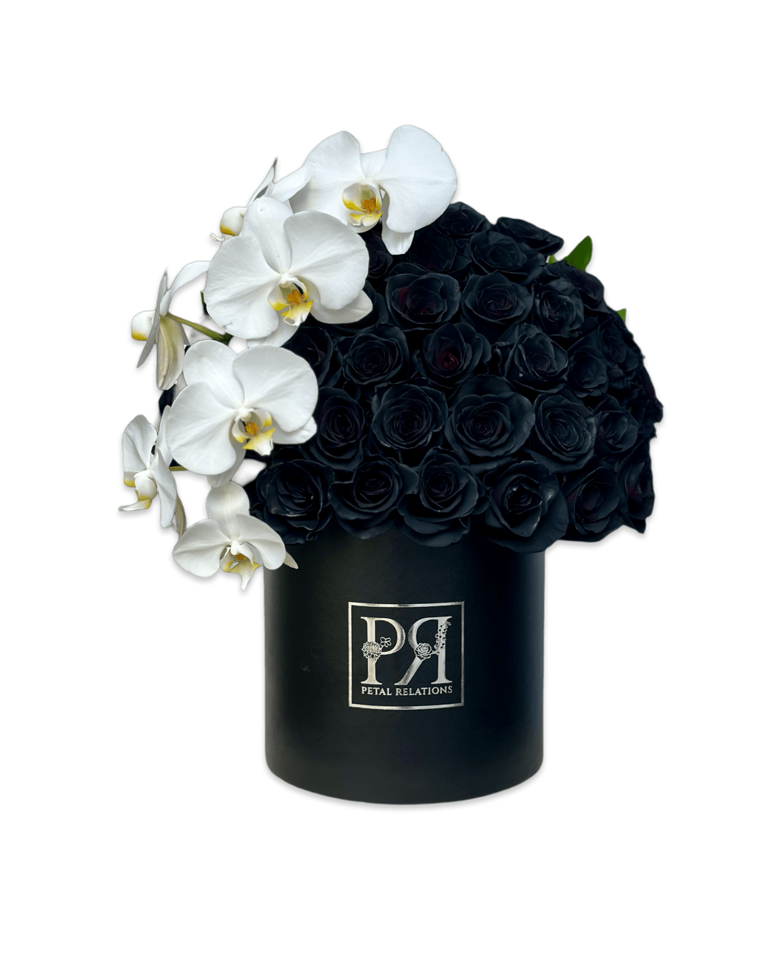 Black Simply Rose in a Box - Petal Relations