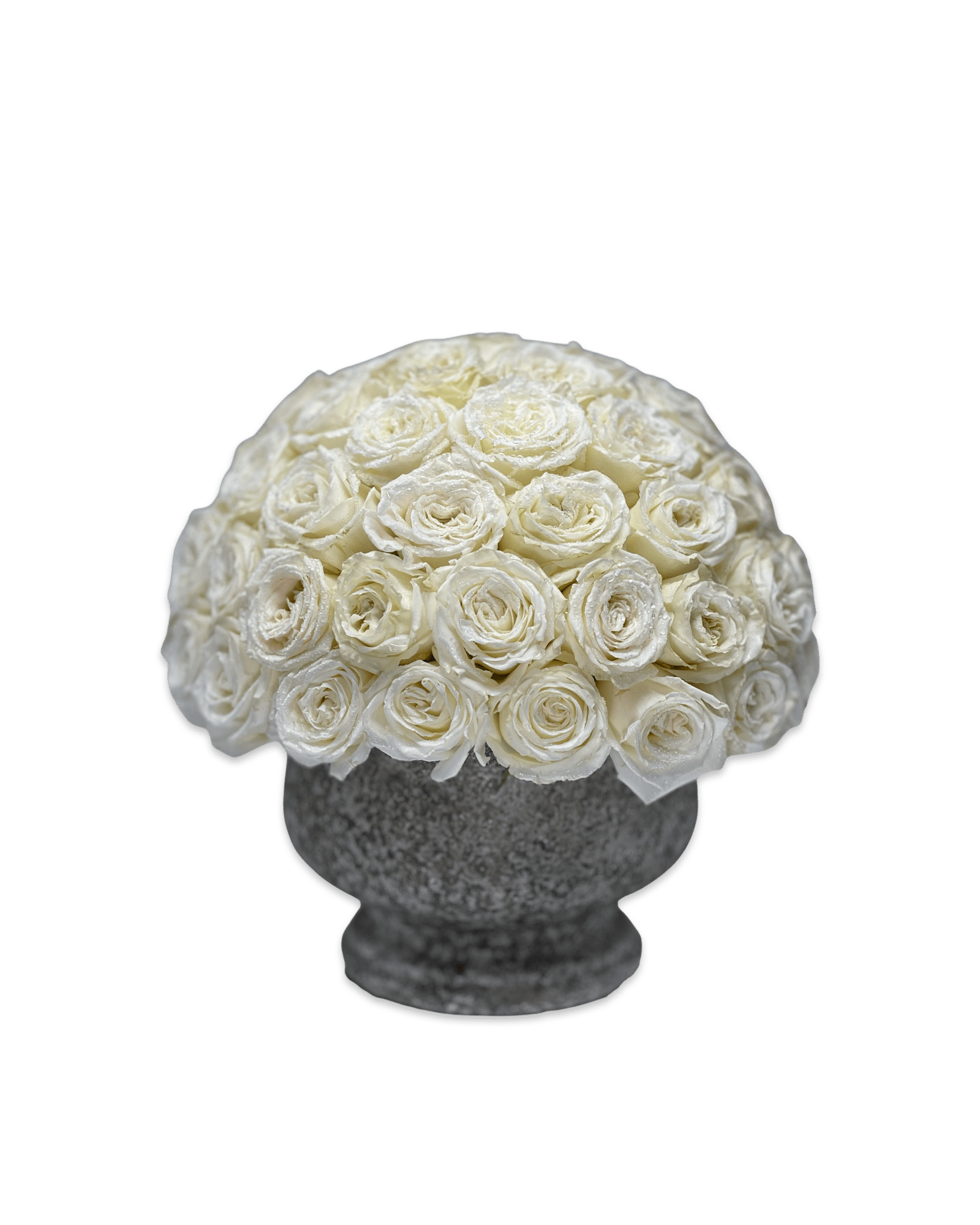 Cici in White - Petal Relations