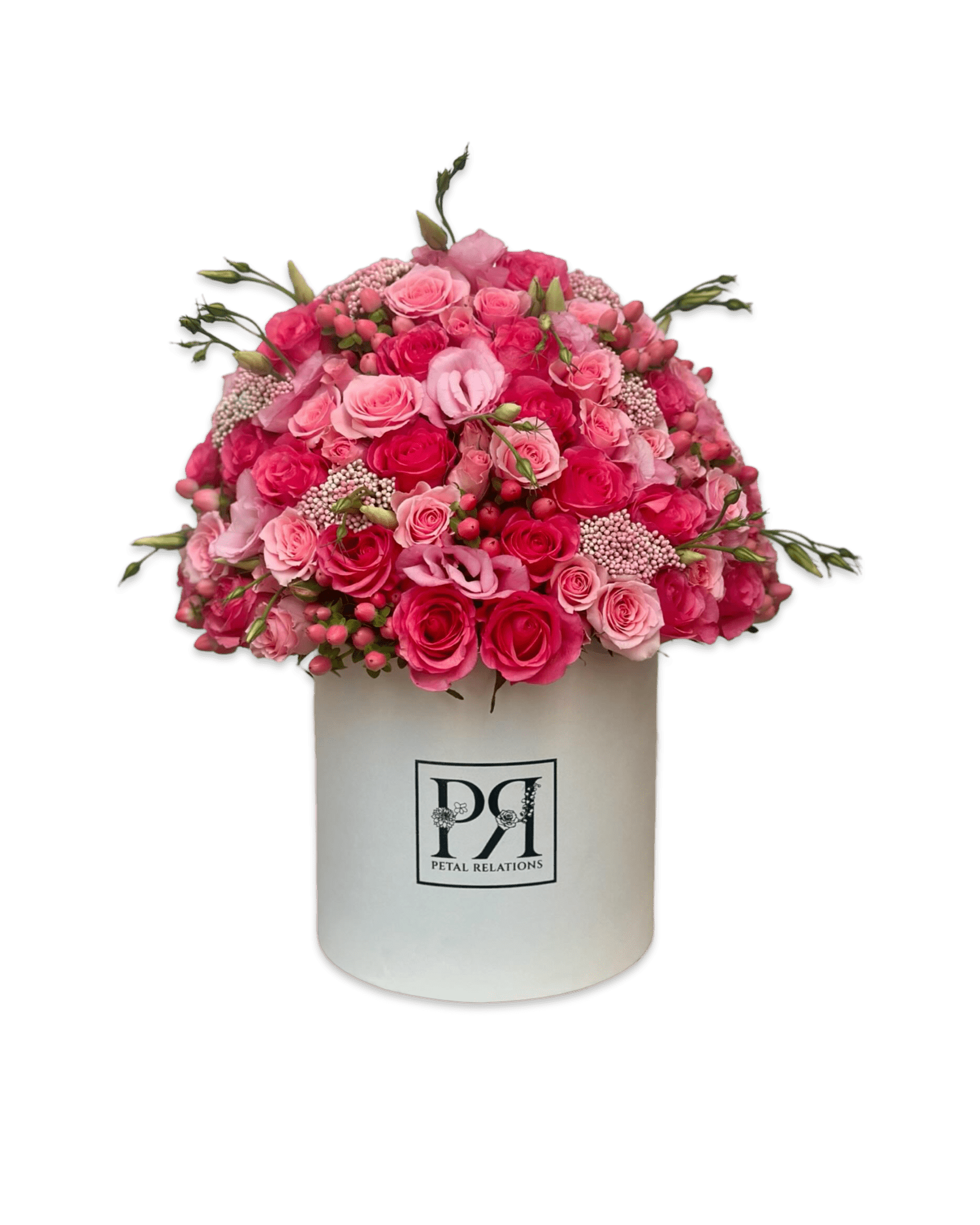 Daniela - Petal Relations