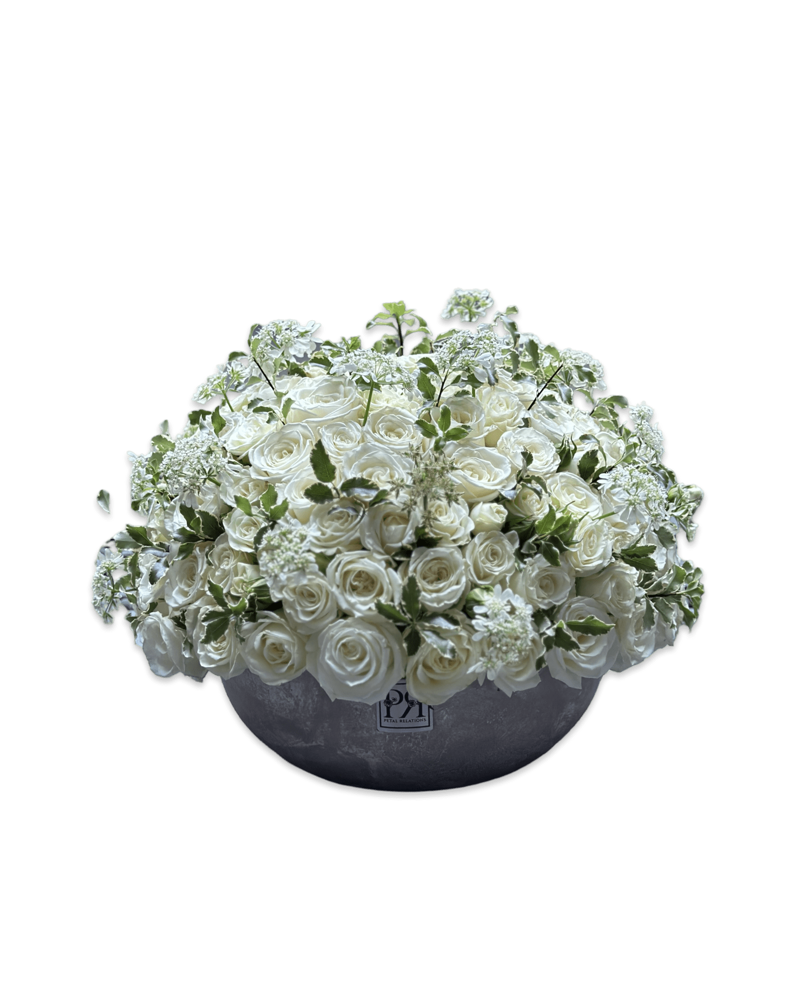 Enchanted - Petal Relations