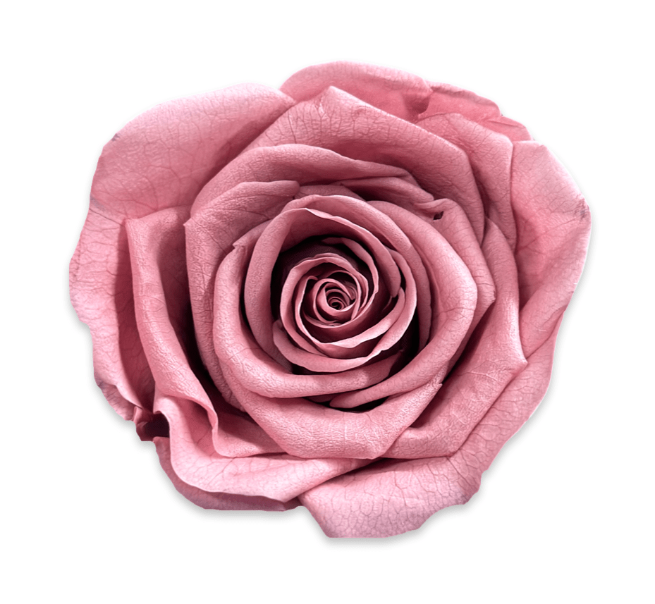 Forever Jumbo Rectangle - Petal Relations