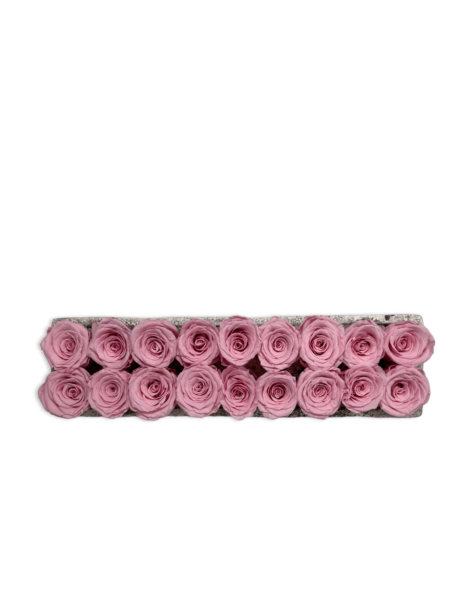 Forever Large Rectangle - Petal Relations