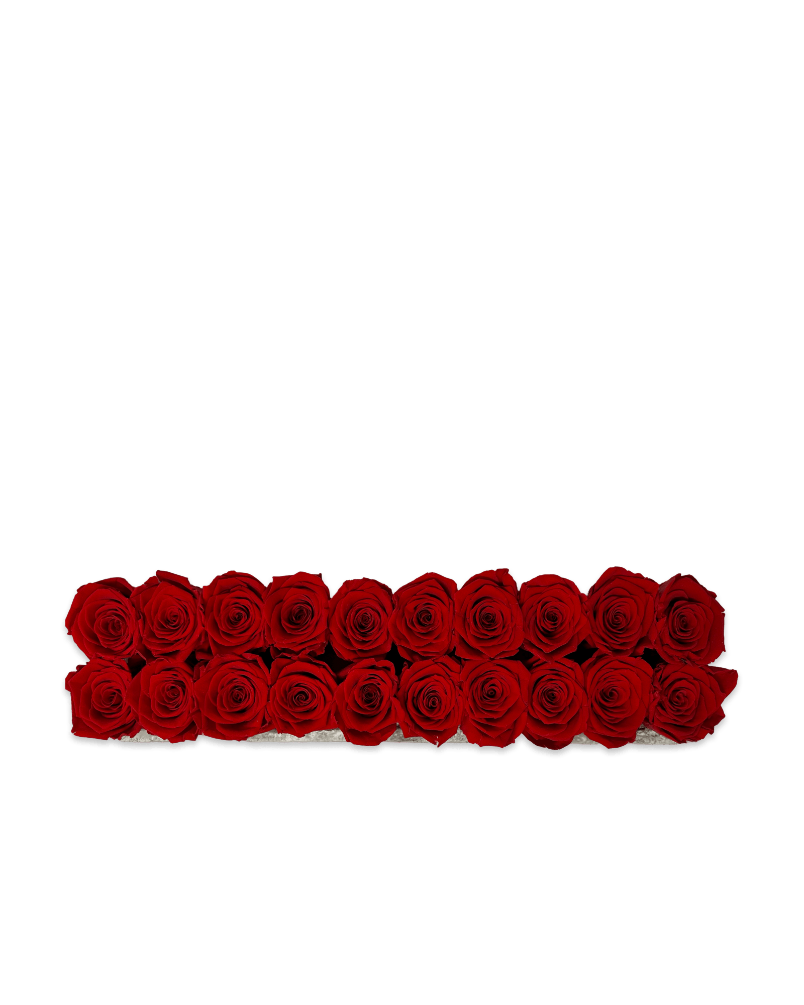 Forever Large Rectangle - Petal Relations