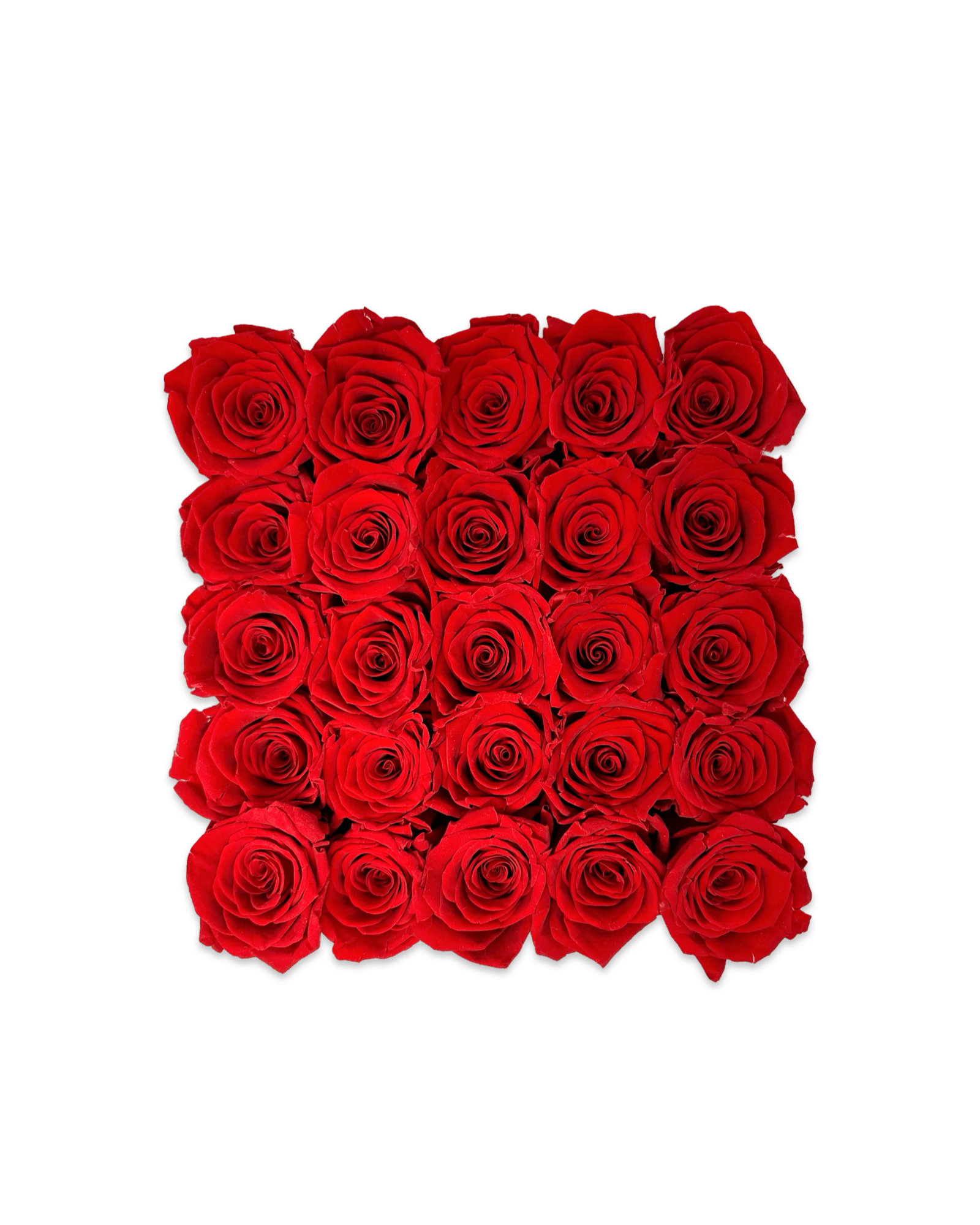 Forever Large Square - Petal Relations