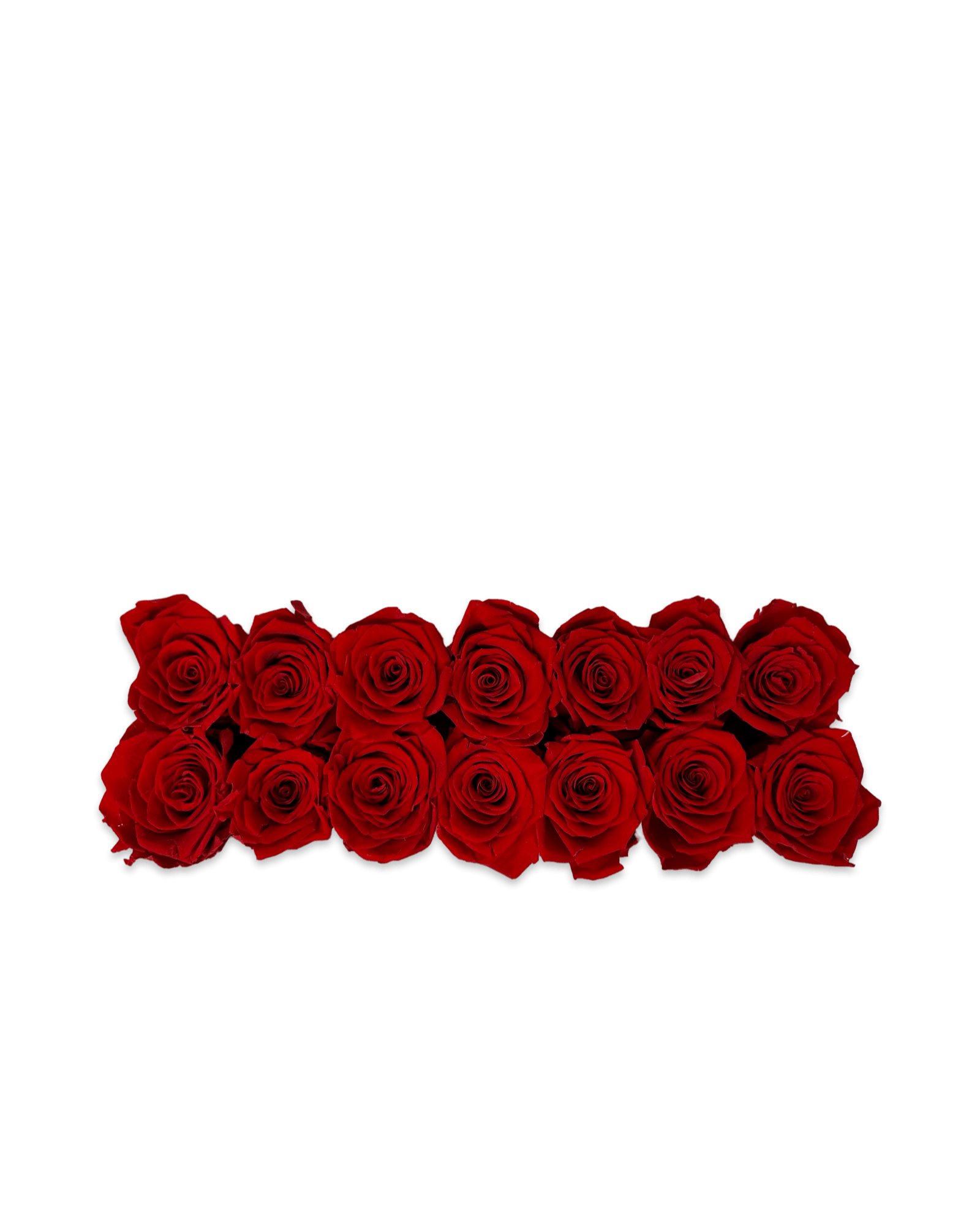 Forever Medium Rectangle - Petal Relations