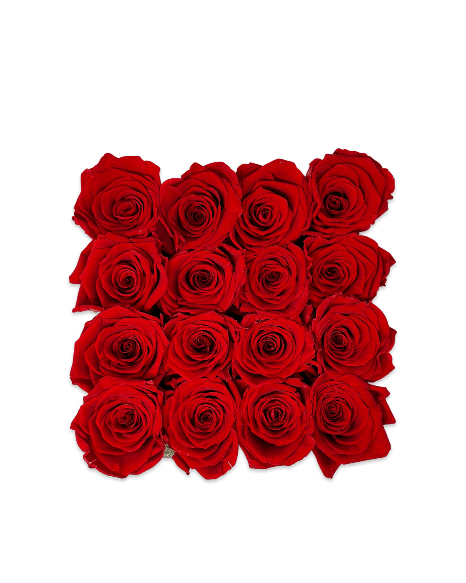 Forever Medium Square - Petal Relations