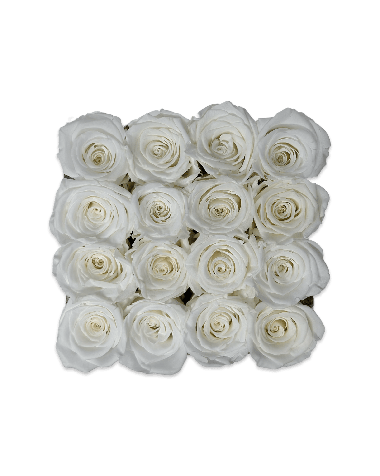 Forever Medium Square - Petal Relations