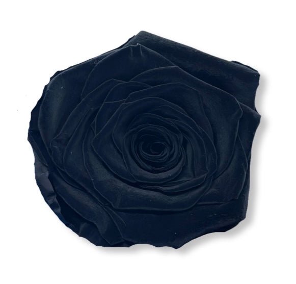 Forever Medium Square - Petal Relations