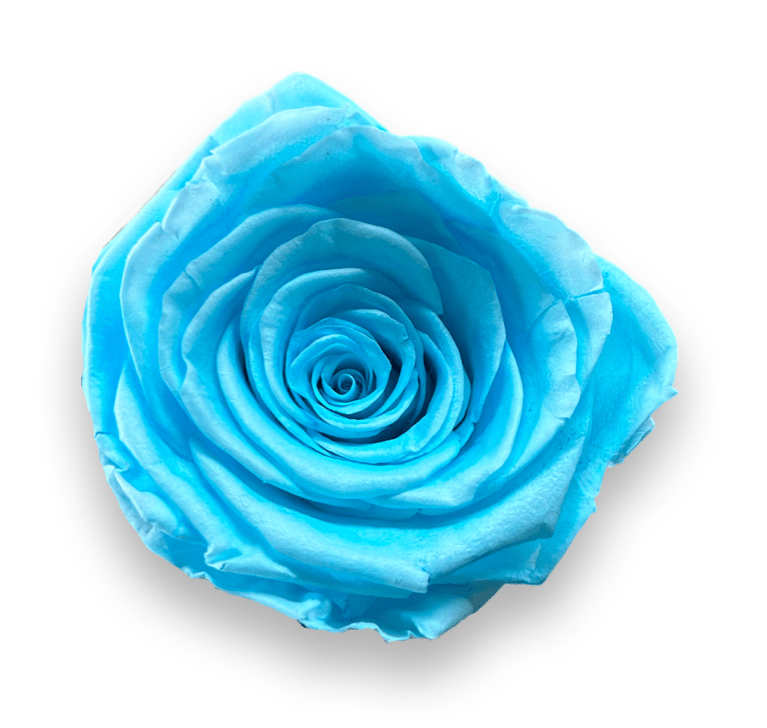 Forever Medium Square - Petal Relations