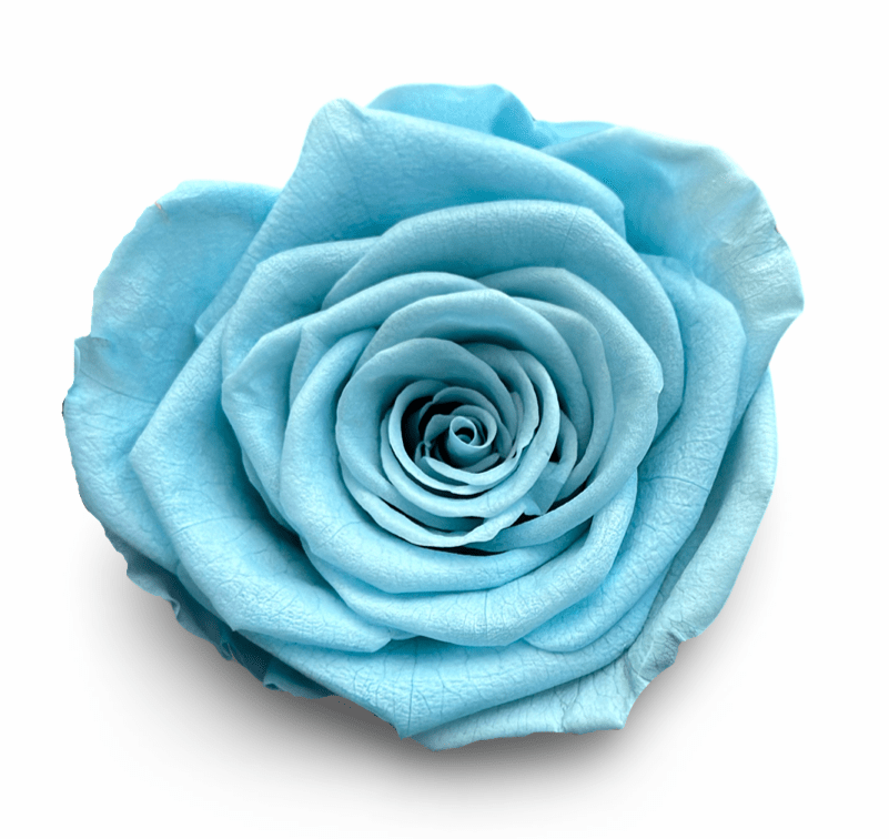 Forever Round in a Box - Petal Relations