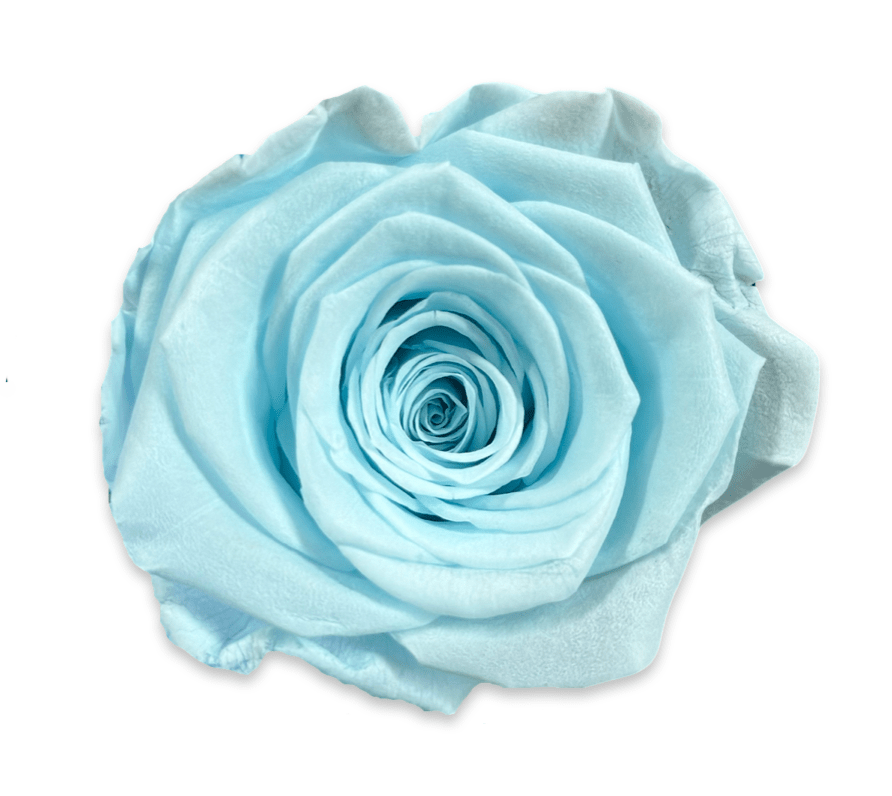 Forever Round in a Box - Petal Relations