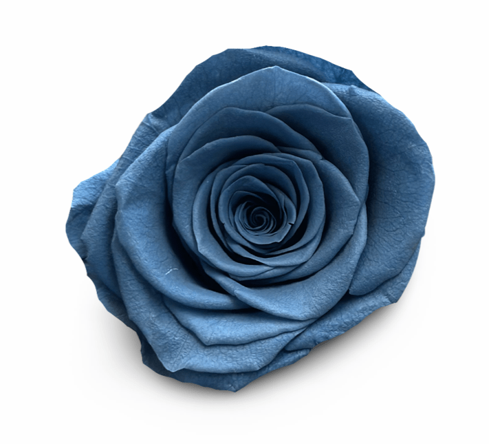 Forever Round in a Box - Petal Relations