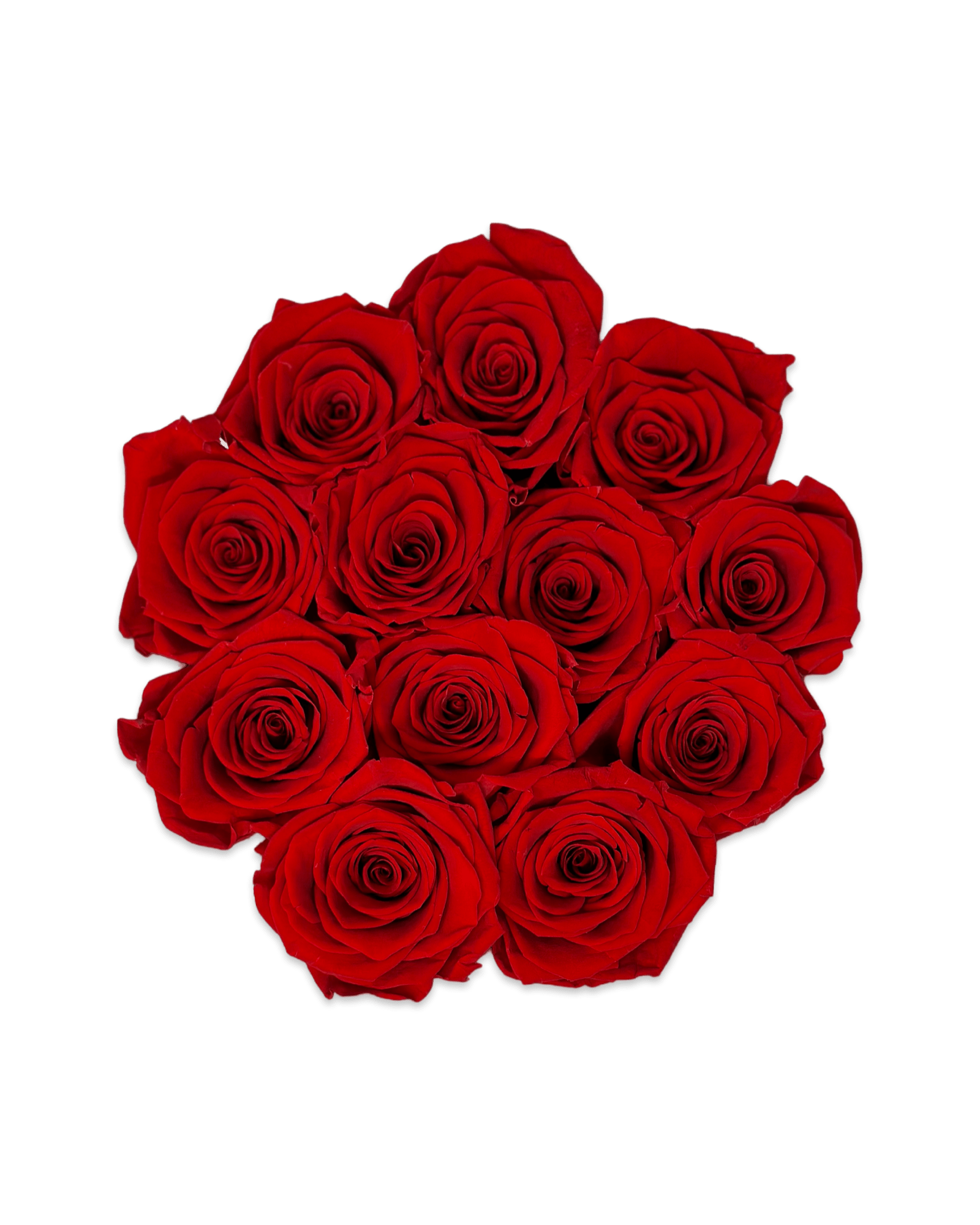 Forever Round in a Box - Petal Relations