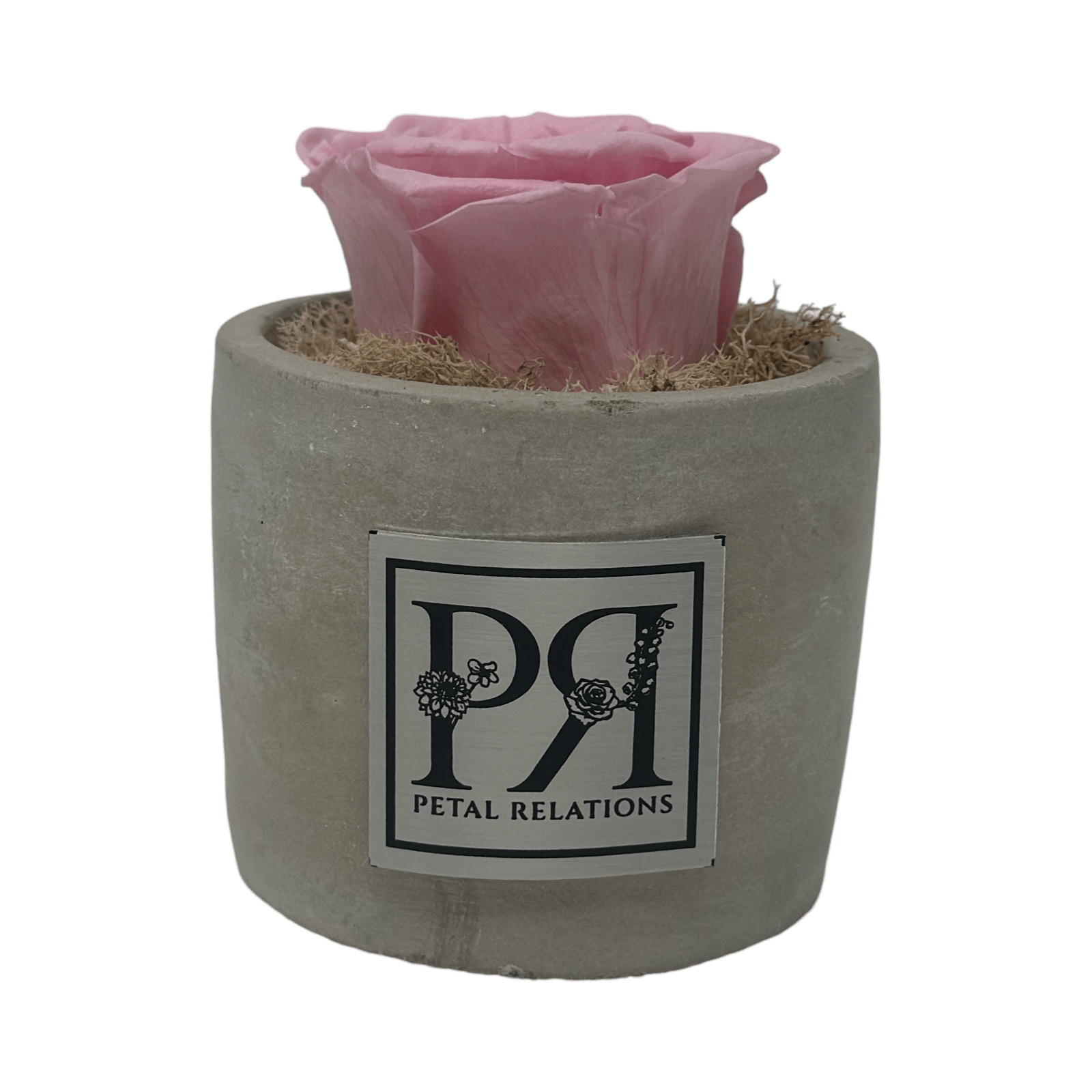 Forever Single Rose - Petal Relations
