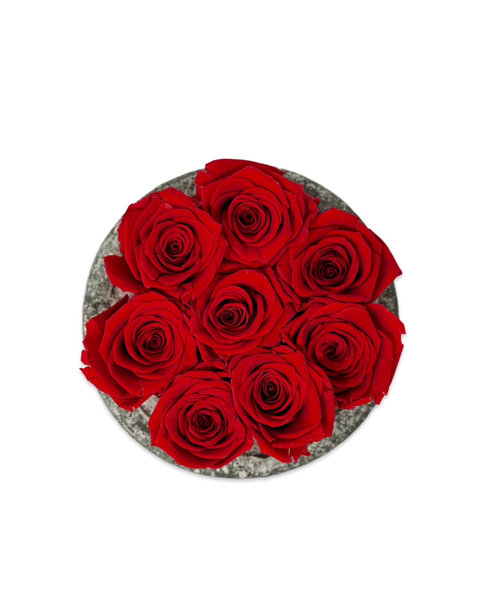 Forever Small Round - Petal Relations