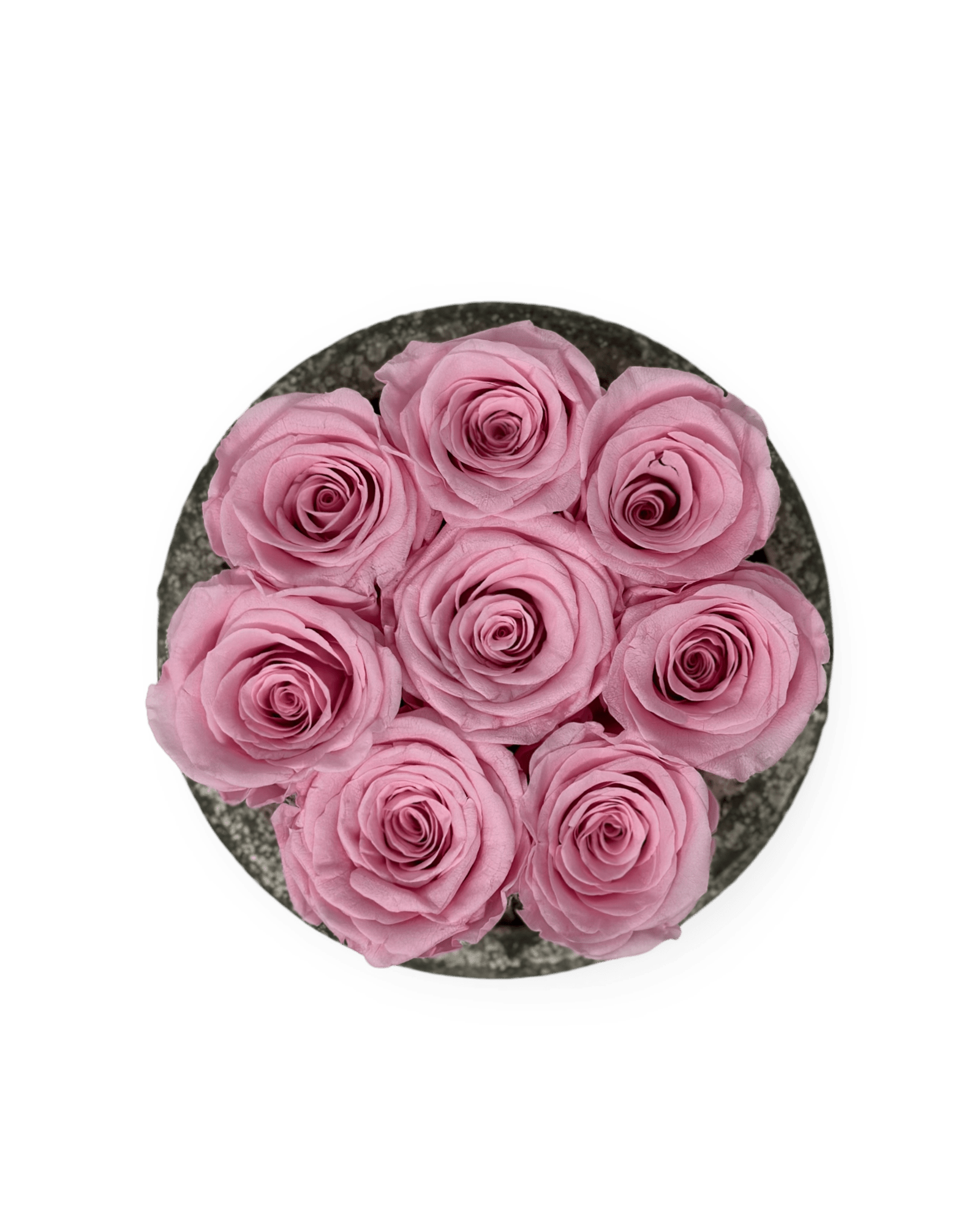 Forever Small Round - Petal Relations