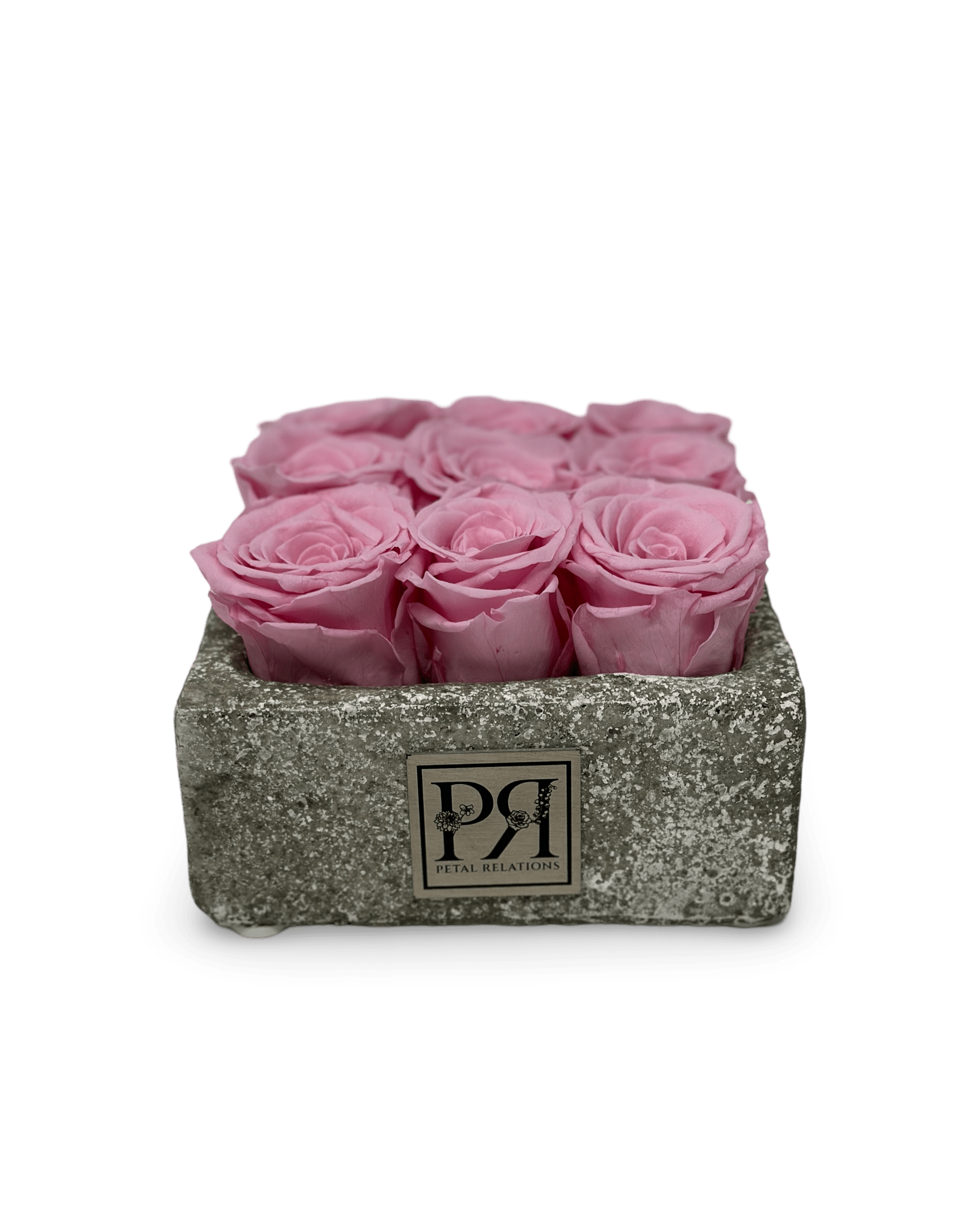 Forever Small Square - Petal Relations