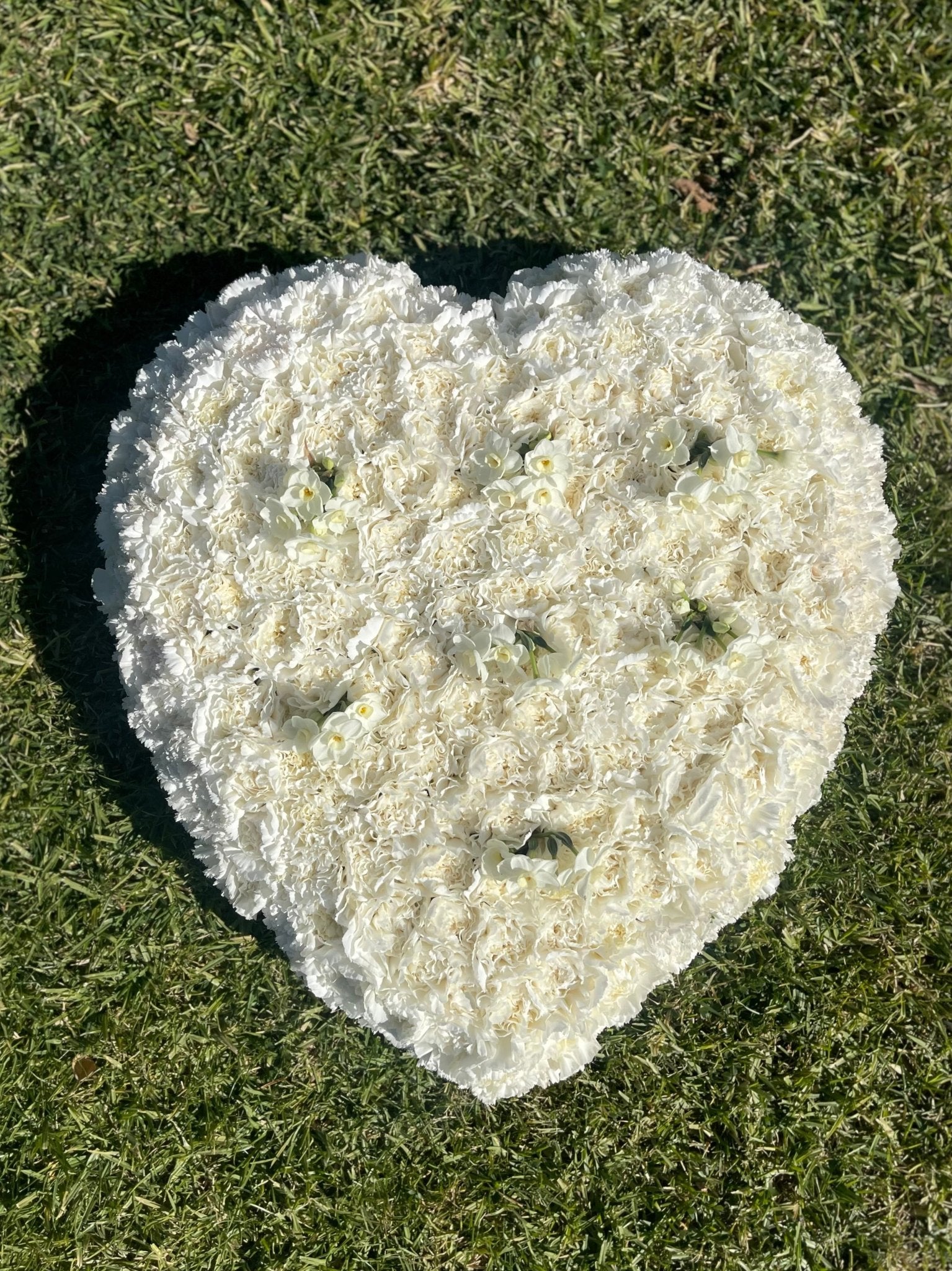 Heart Ground Cover - Petal Relations