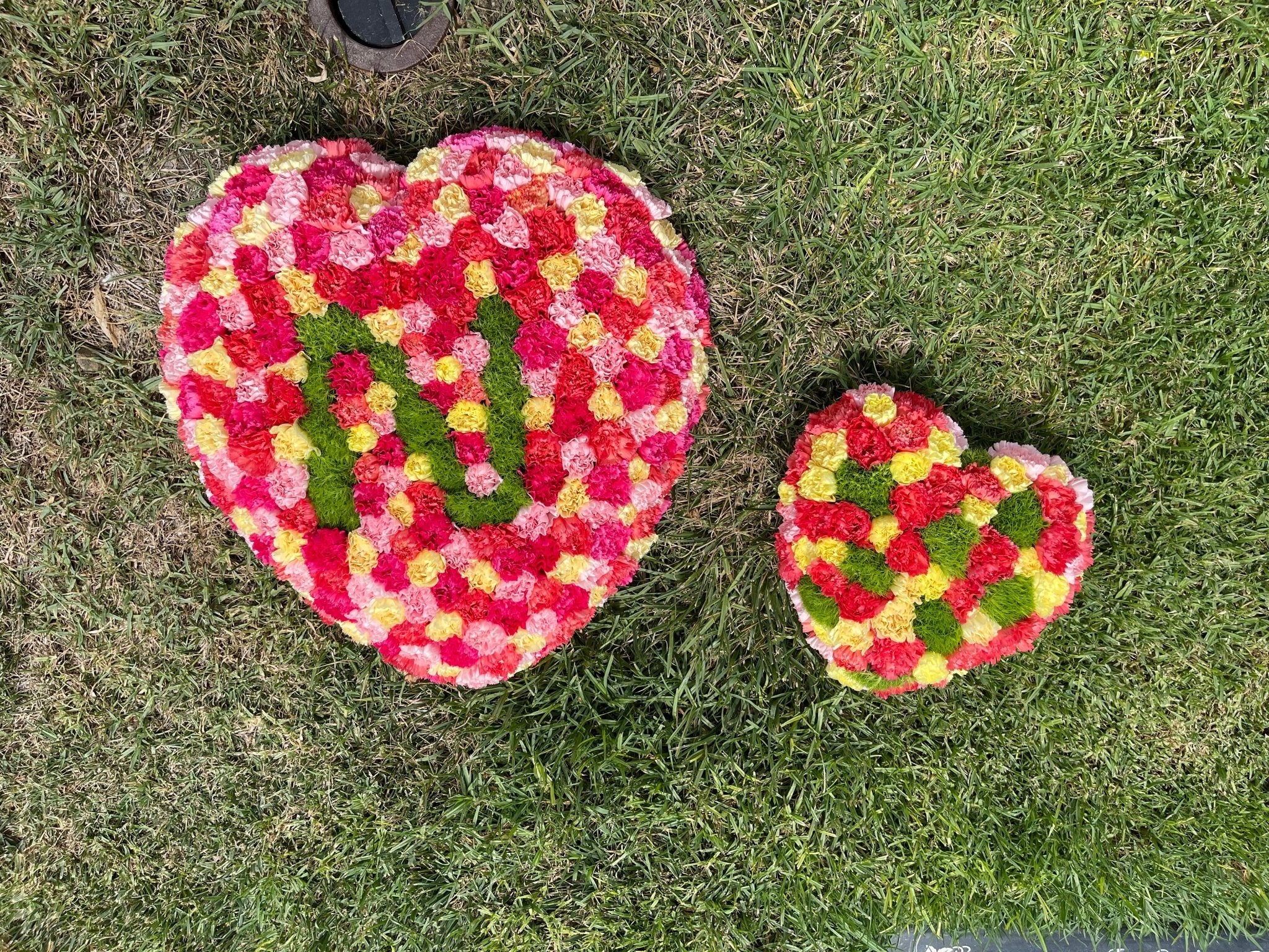 Heart Ground Cover - Petal Relations