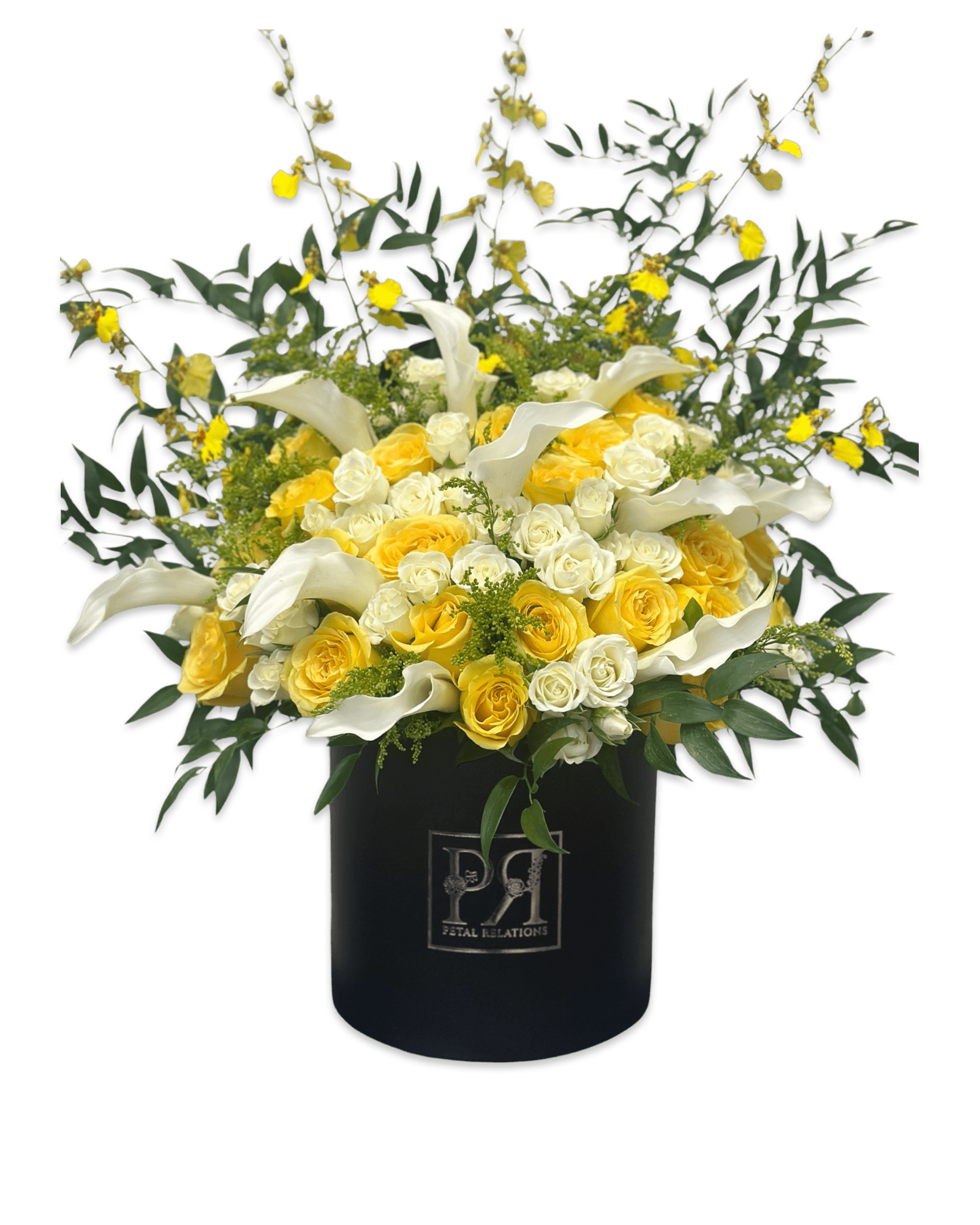 Lily of the Sun - Petal Relations