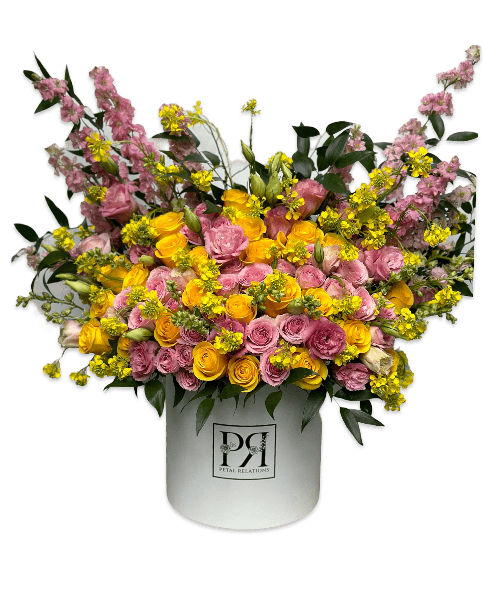 Melrose - Petal Relations