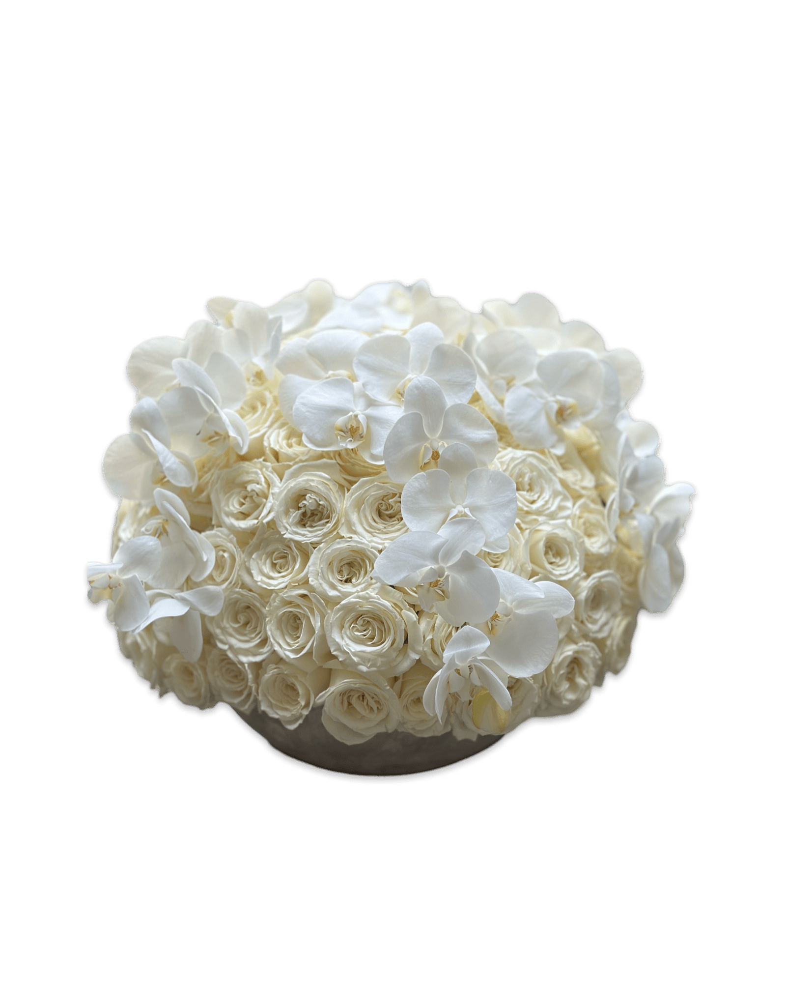white roses flowers Orchid Waterfall - Petal Relations