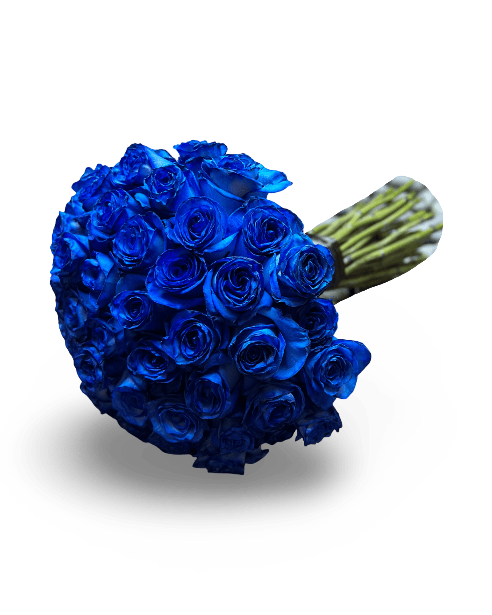 PetalOnTheGo - Petal Relations