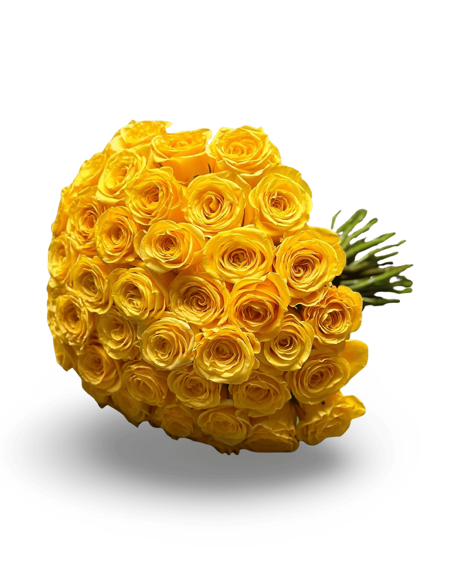 PetalOnTheGo - Petal Relations