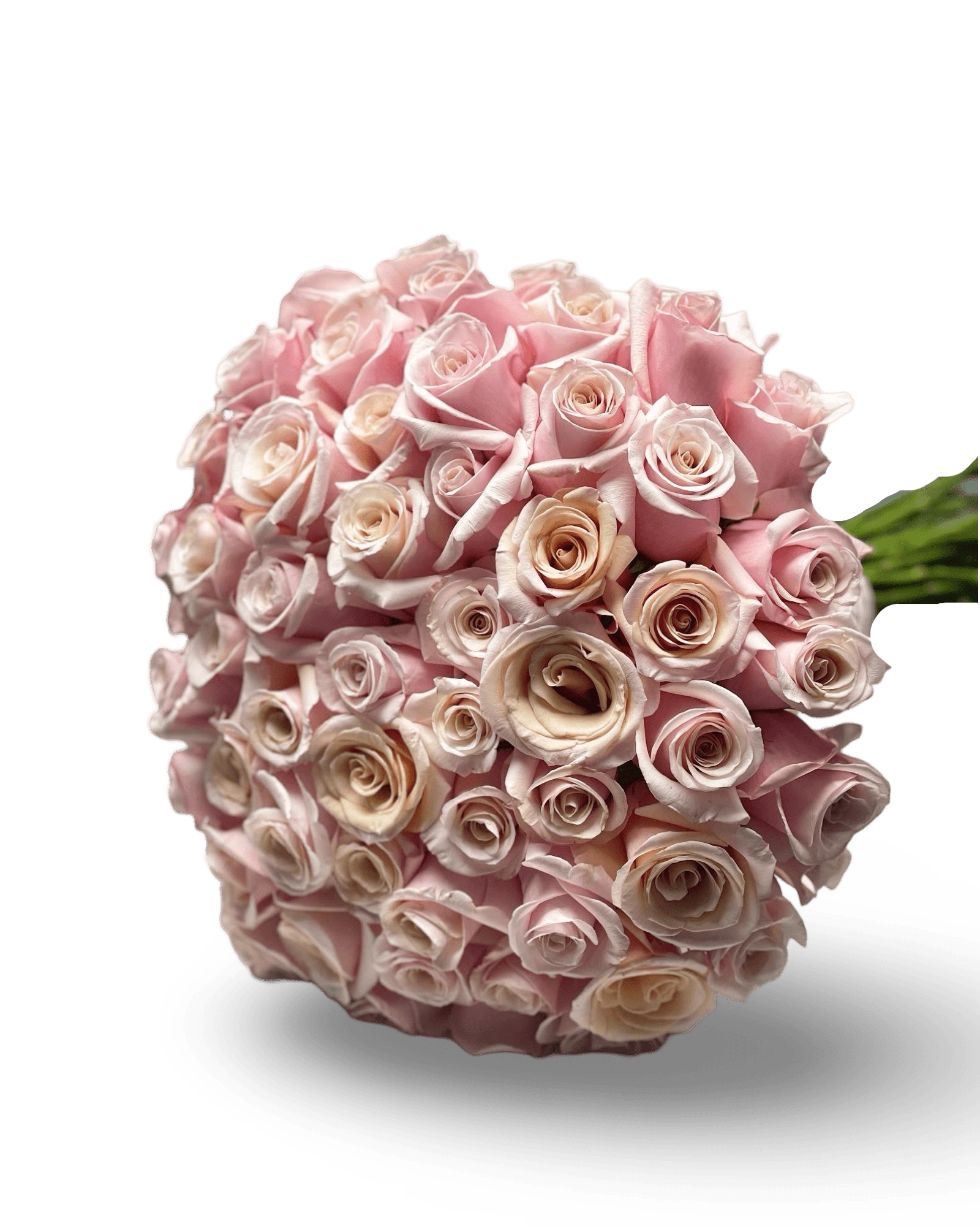 PetalOnTheGo - Petal Relations