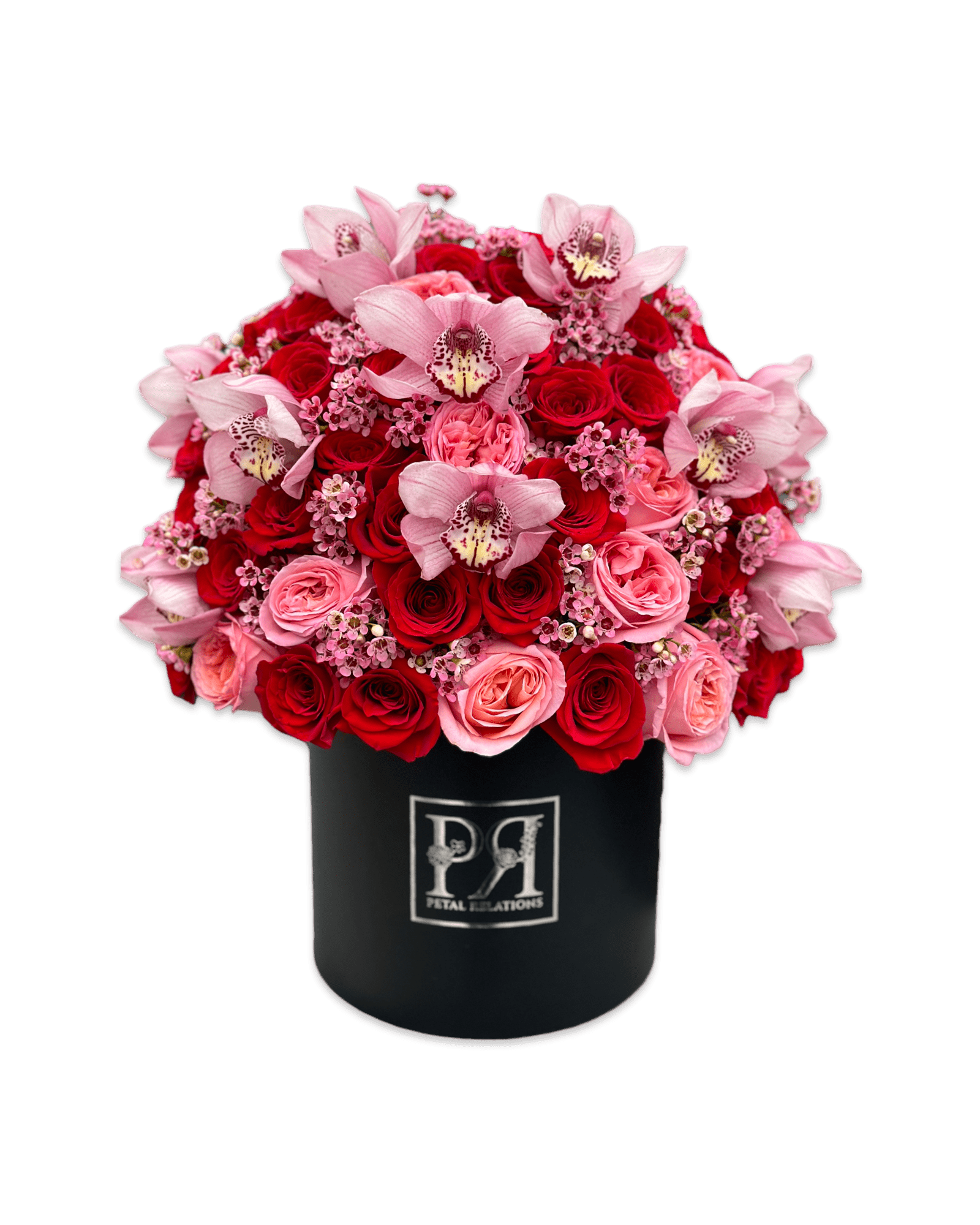 Pretty Girl - Petal Relations