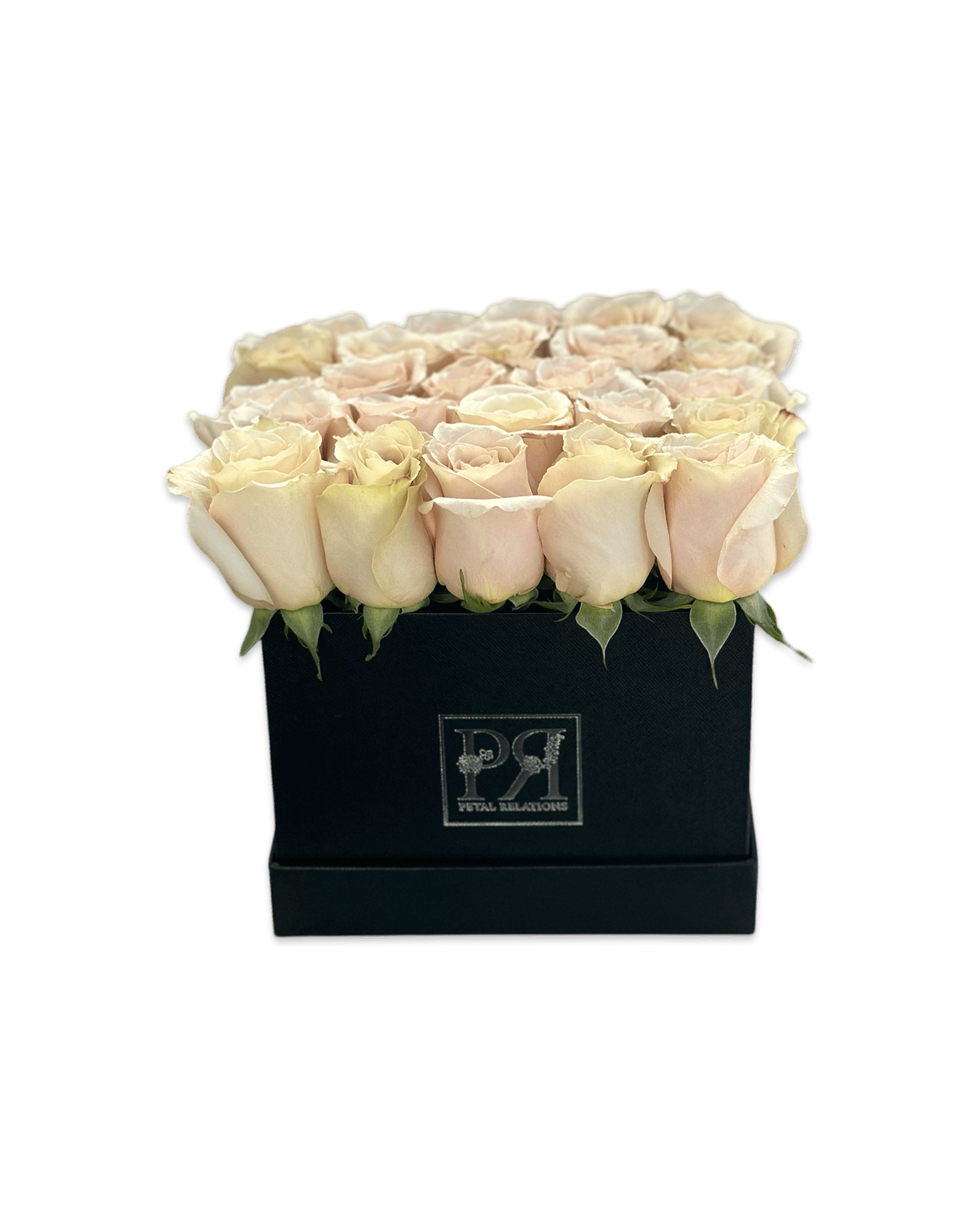 Romance in a Box - Petal Relations
