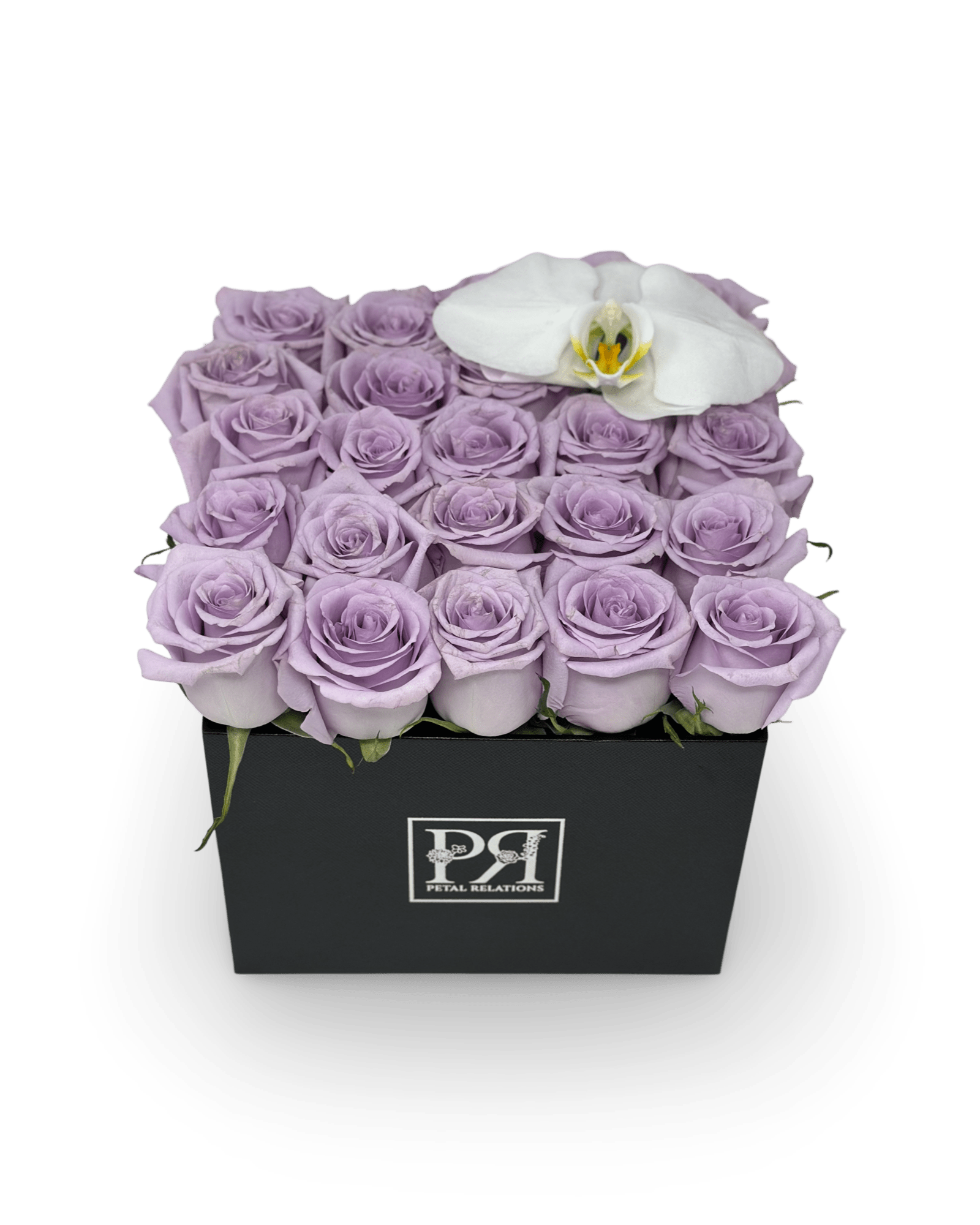 Romance in a Box with a Phalaenopsis Orchid - Petal Relations