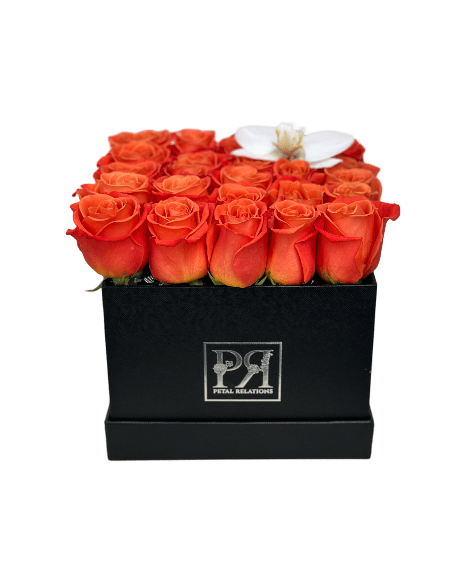 Romance in a Box with a Phalaenopsis Orchid - Petal Relations