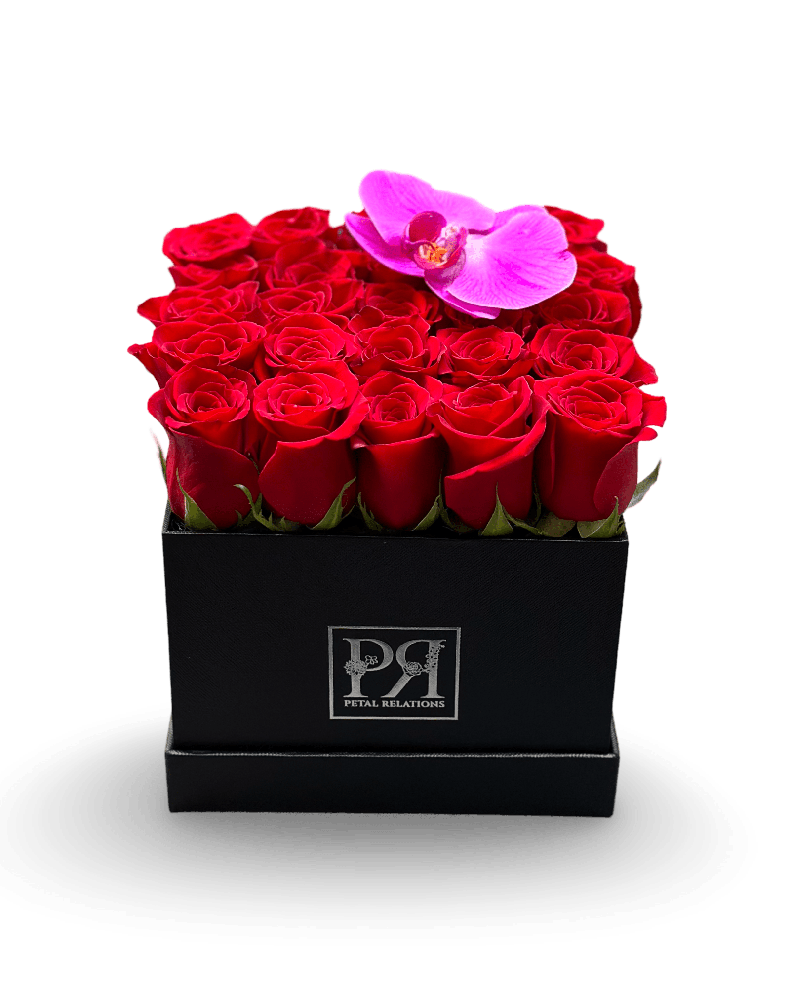 Romance in a Box with a Phalaenopsis Orchid - Petal Relations