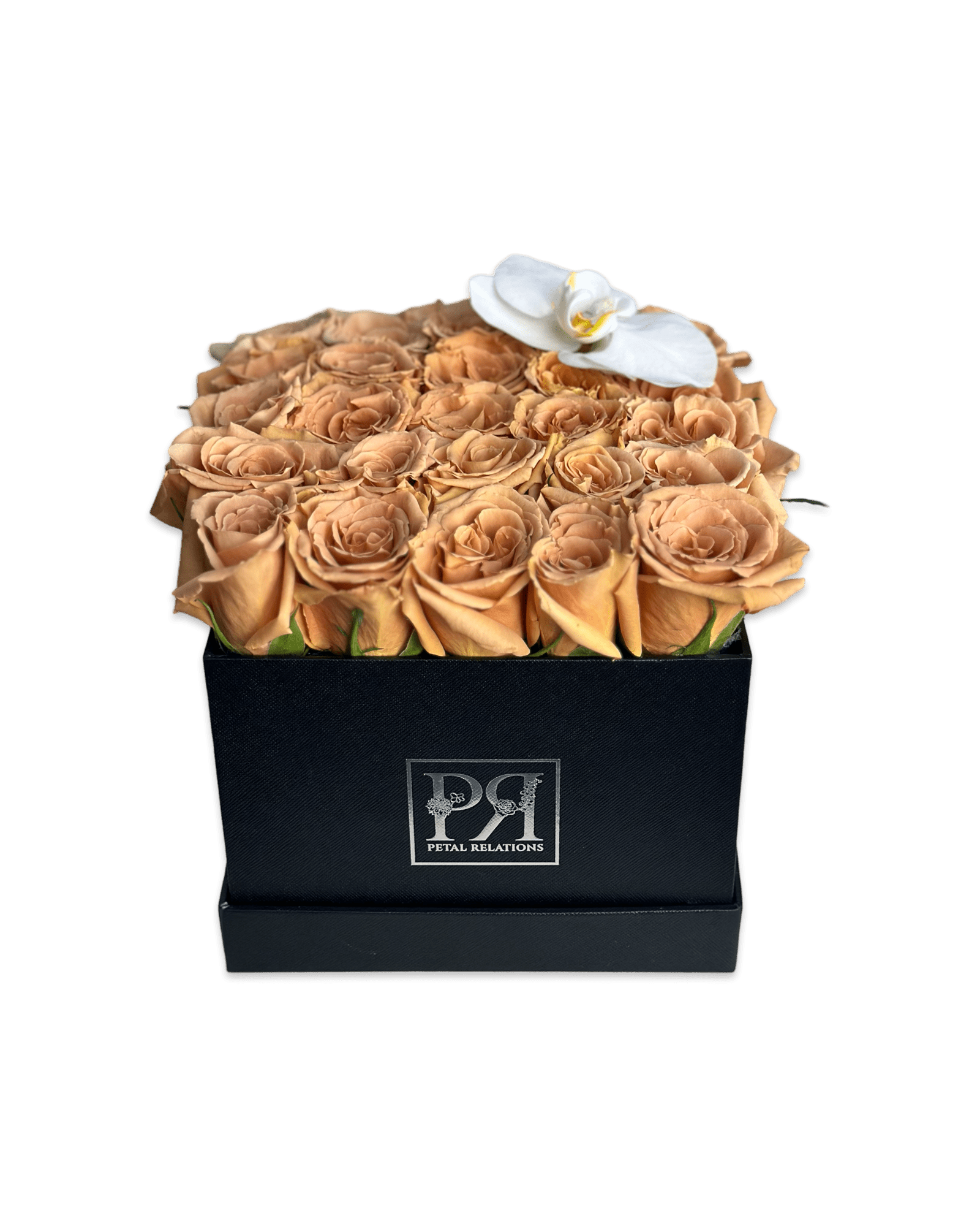 Romance in a Box with a Phalaenopsis Orchid - Petal Relations