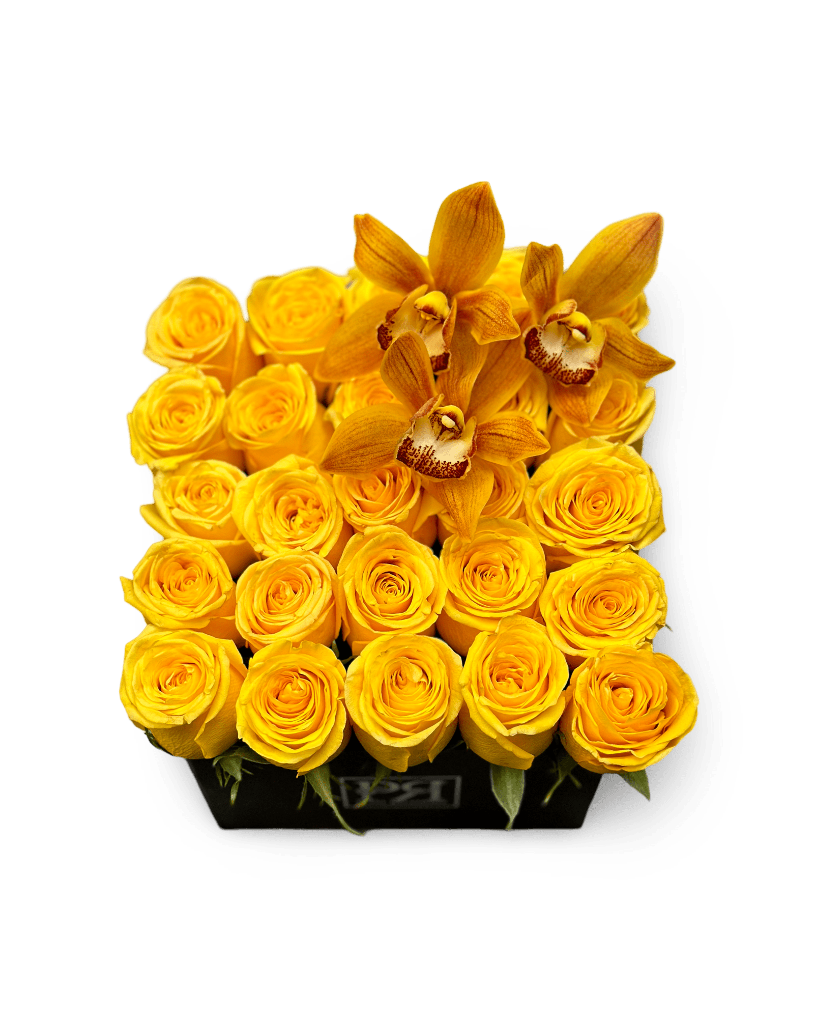 Romance in a Box with Cymbidium Orchids - Petal Relations