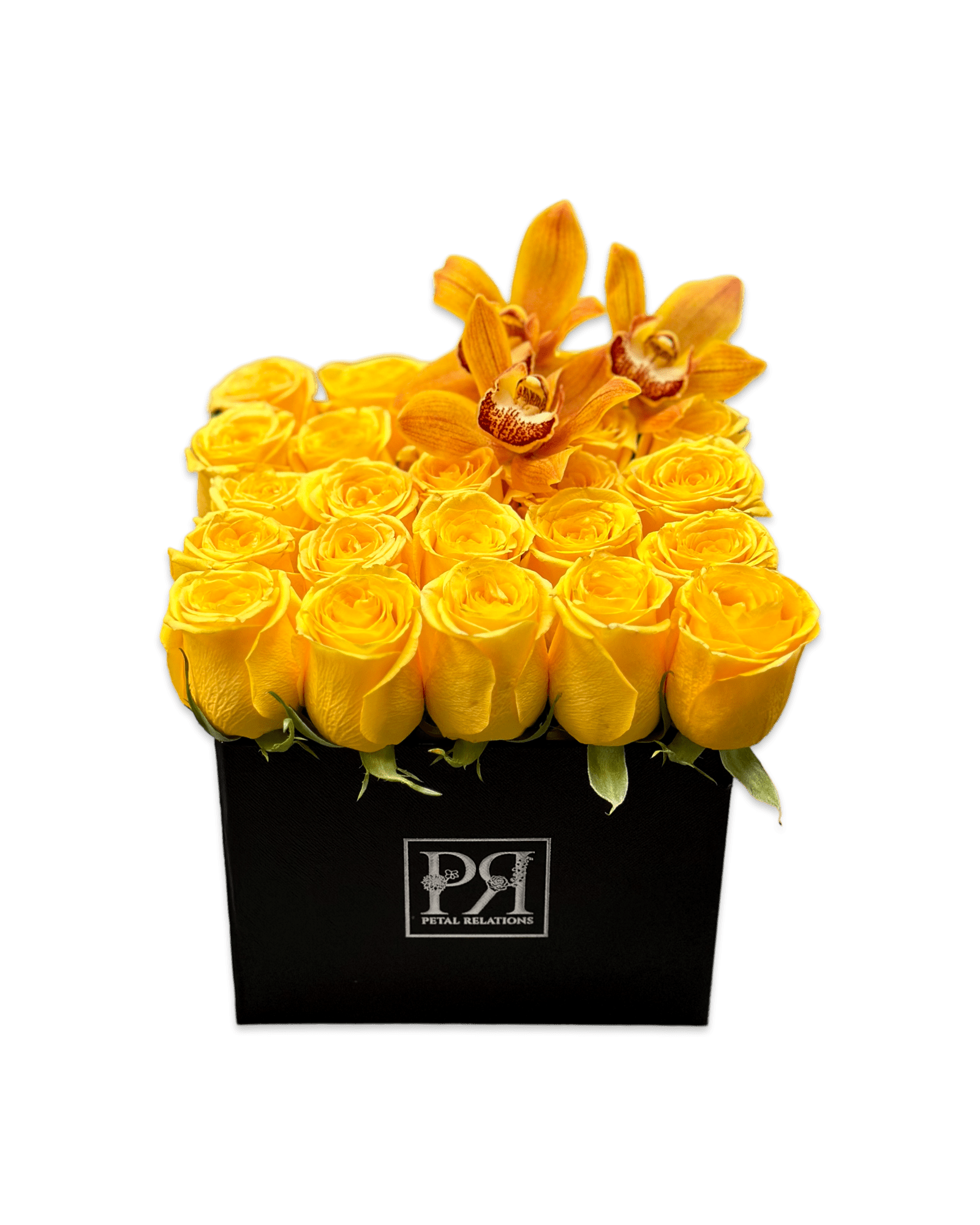 Romance in a Box with Cymbidium Orchids - Petal Relations