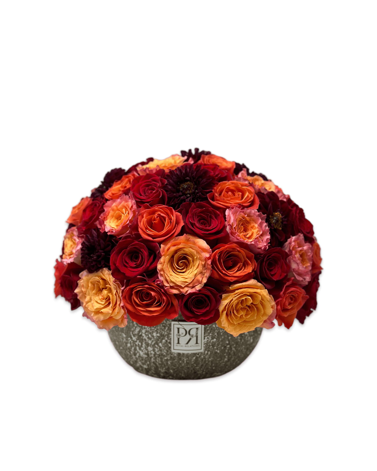Scorpio Baby - Petal Relations