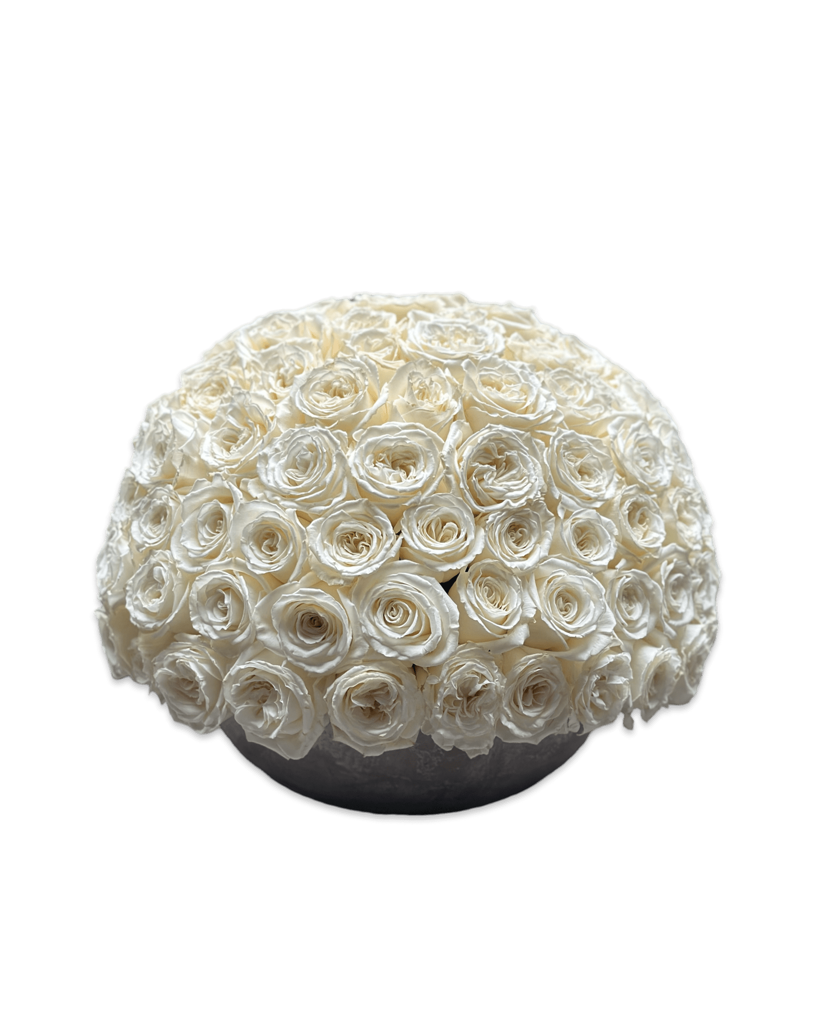 Simply Rose in White - Petal Relations