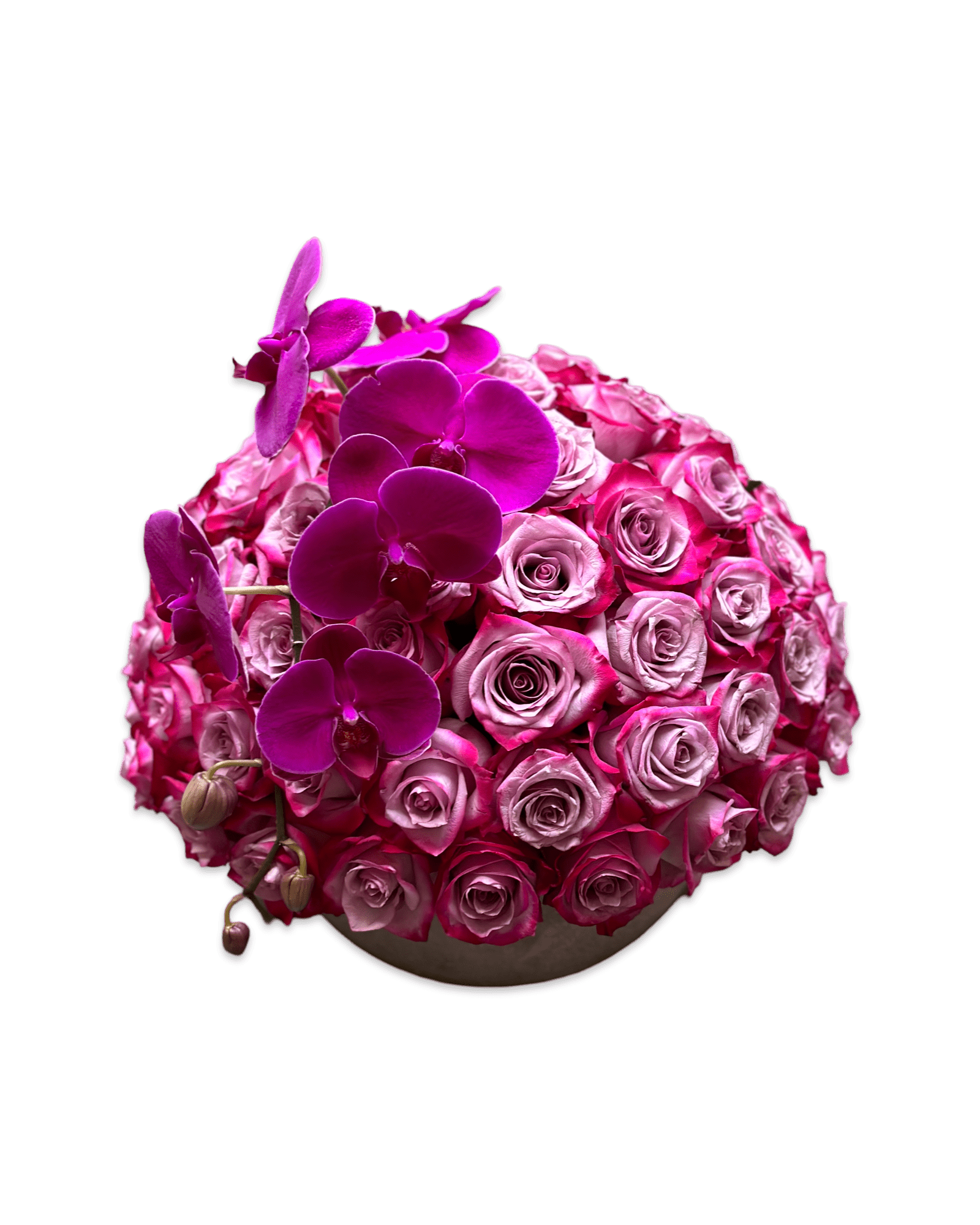 Simply Rose with Phalaenopsis Orchid - Petal Relations