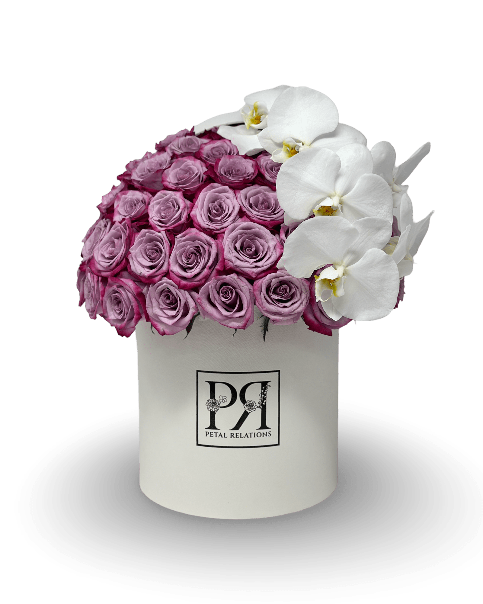 Simply Rose with Phalaenopsis Orchid in a Box - Petal Relations