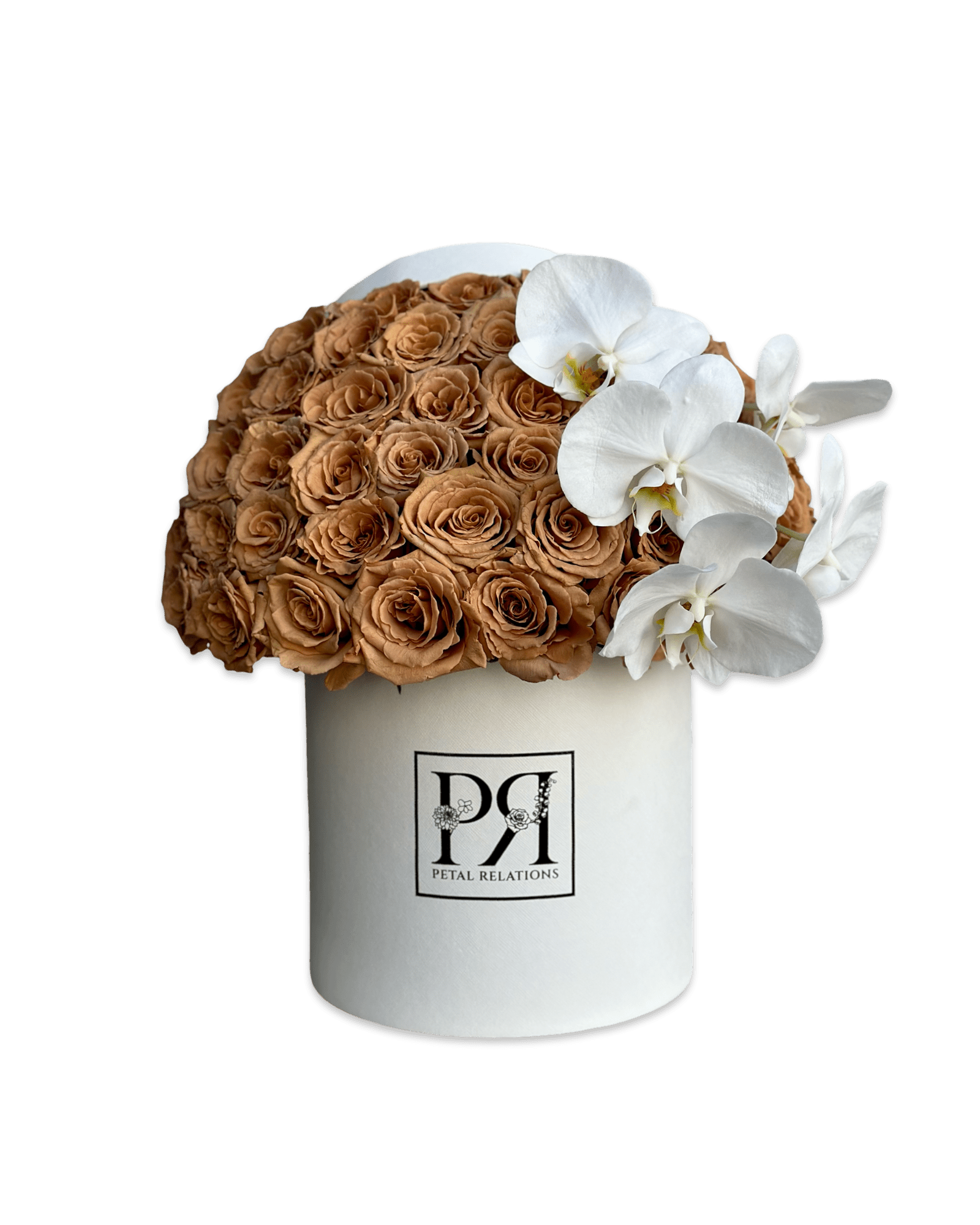 Simply Rose with Phalaenopsis Orchid in a Box - Petal Relations