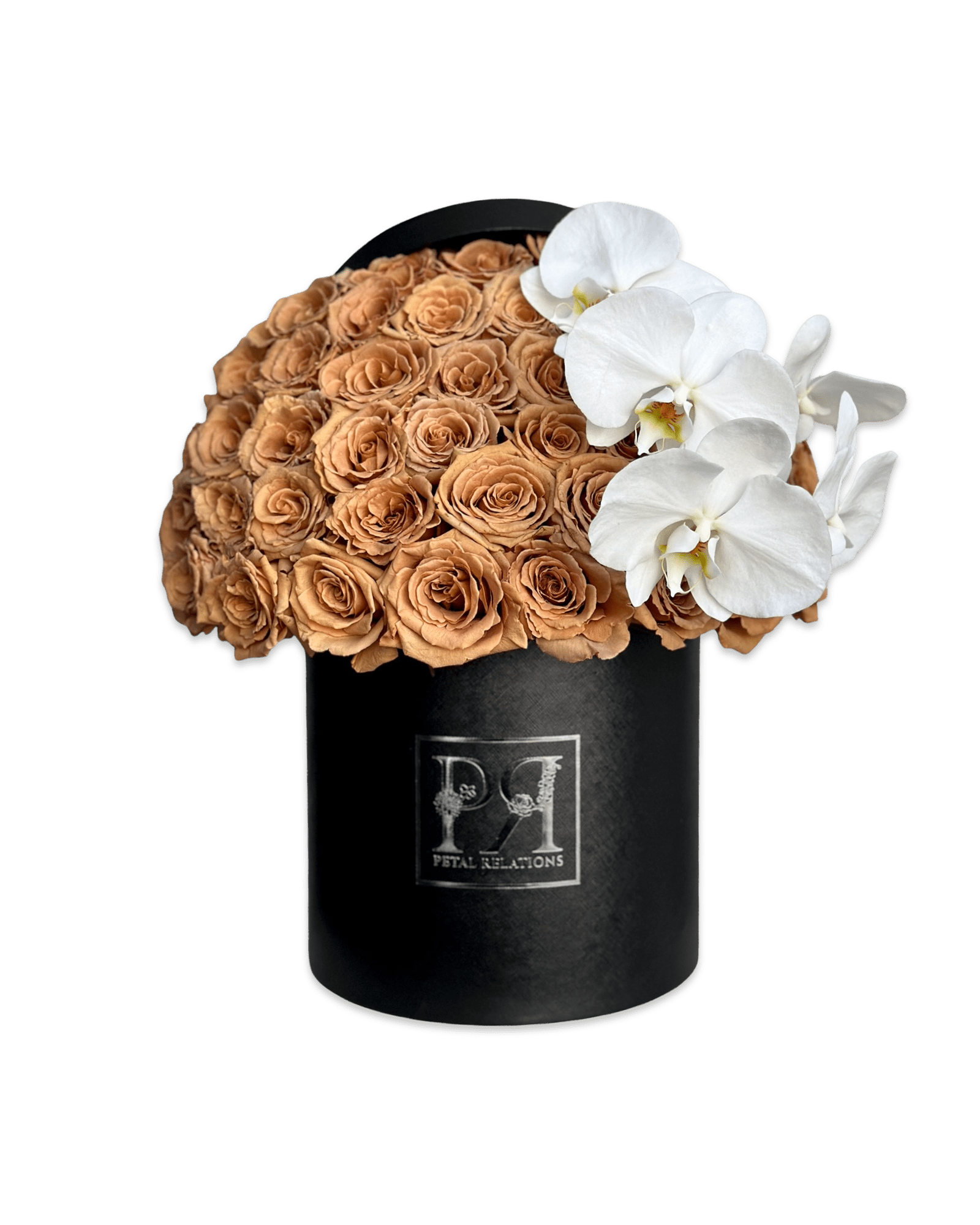 Simply Rose with Phalaenopsis Orchid in a Box - Petal Relations