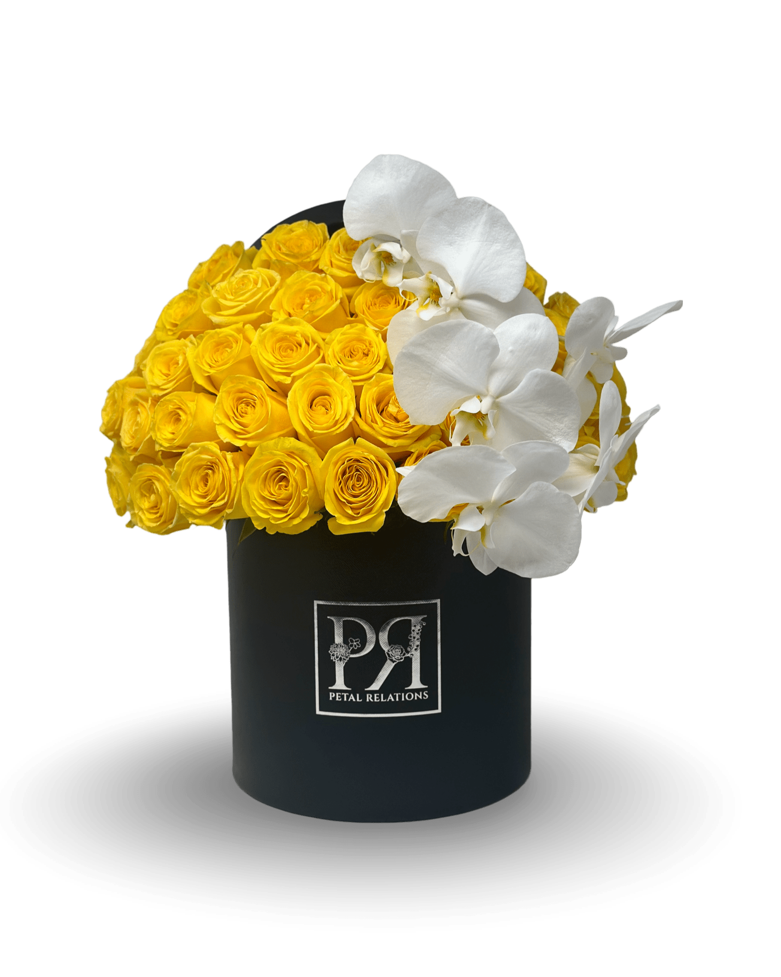 Simply Rose with Phalaenopsis Orchid in a Box - Petal Relations