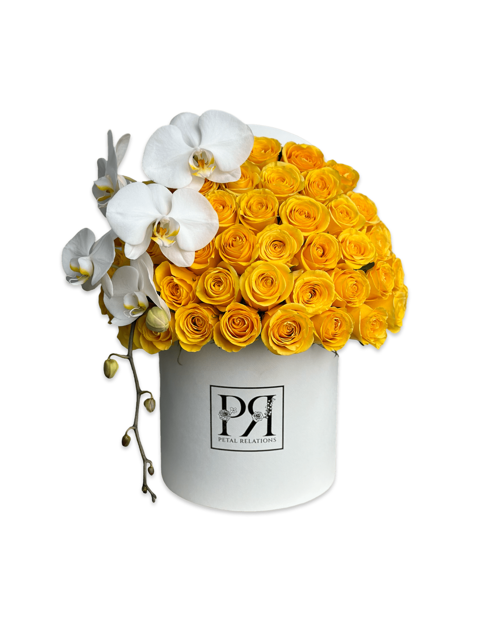 Simply Rose with Phalaenopsis Orchid in a Box - Petal Relations