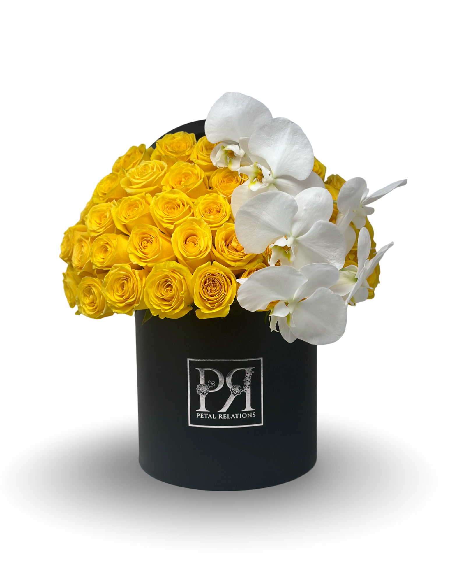 Simply Rose with Phalaenopsis Orchid in a Box - Petal Relations