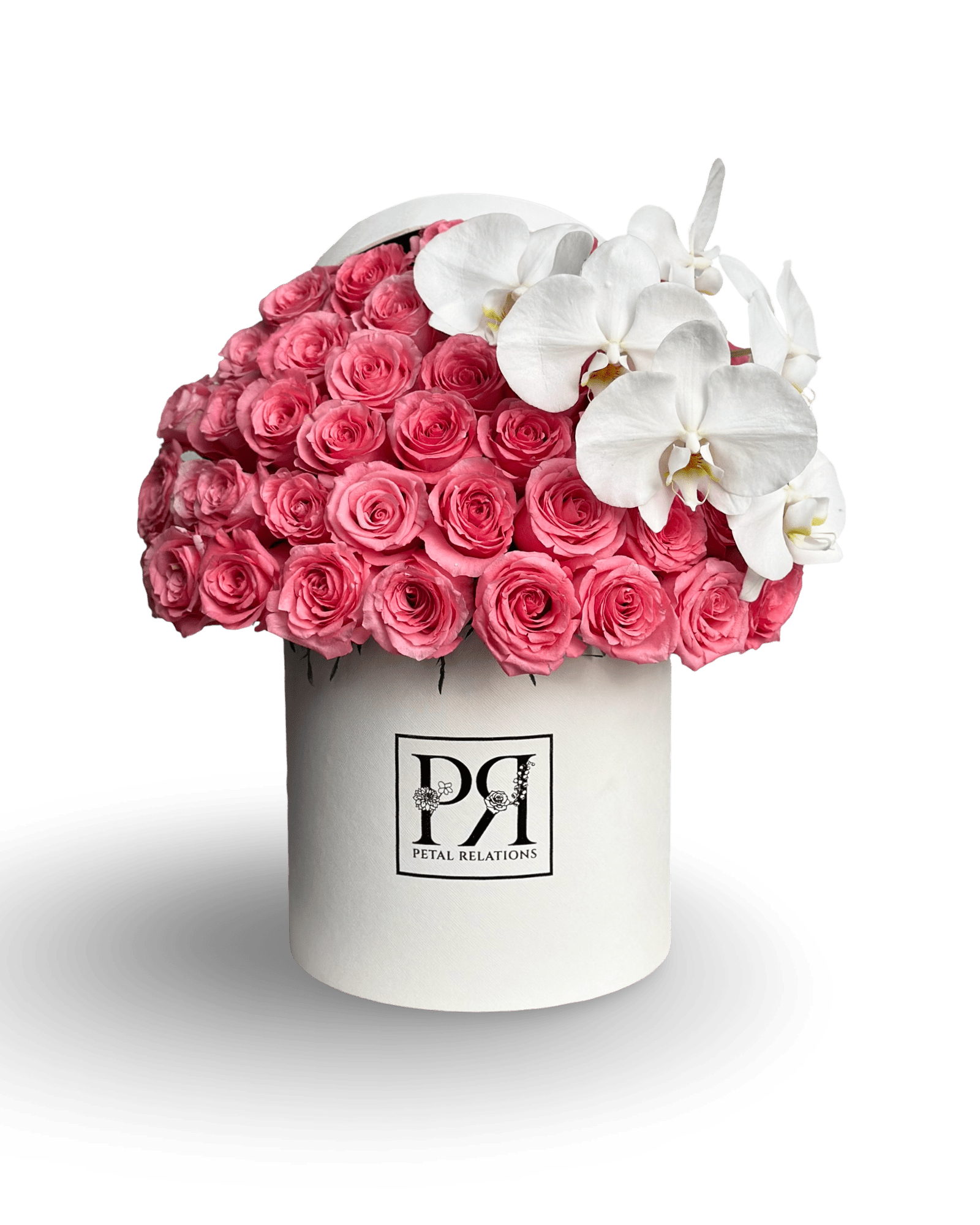 Simply Rose with Phalaenopsis Orchid in a Box - Petal Relations
